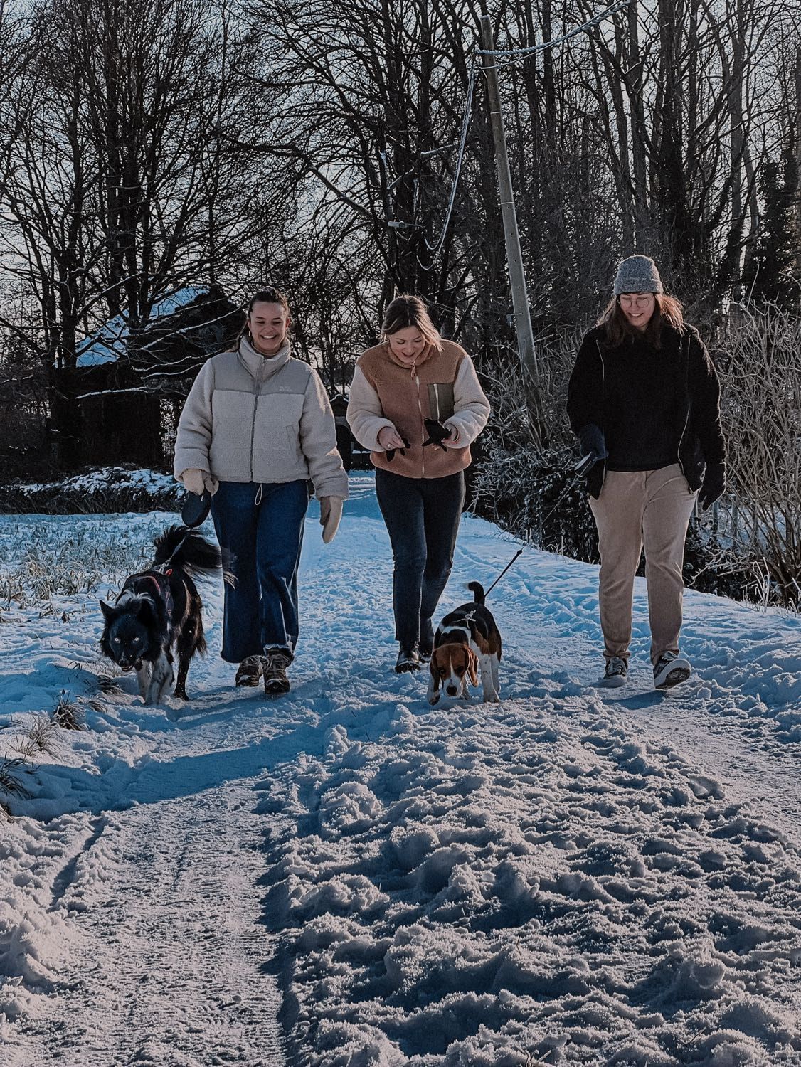 image-6