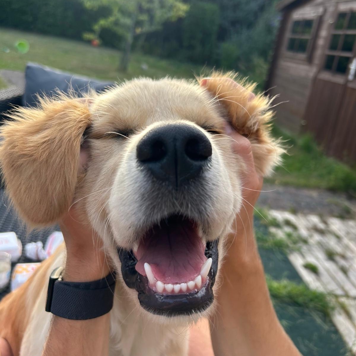 Charlie