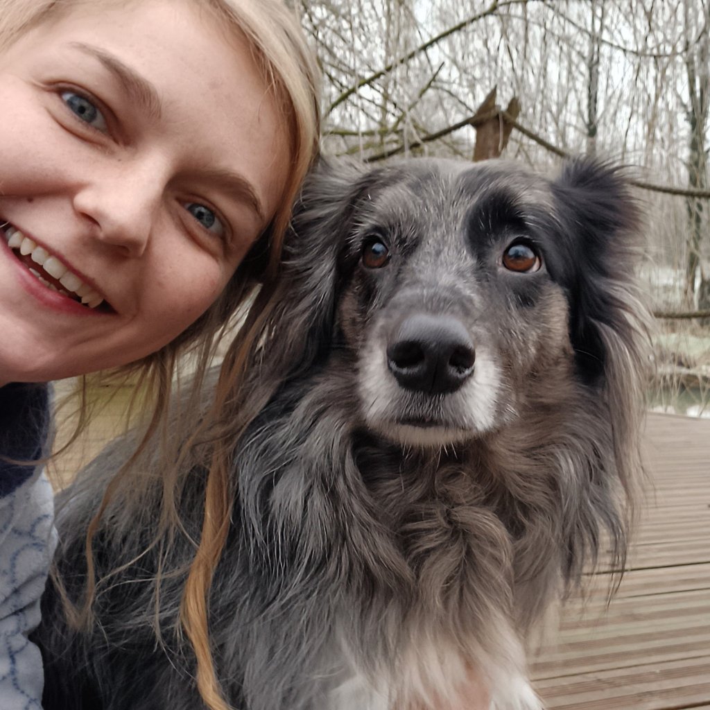 Ayla