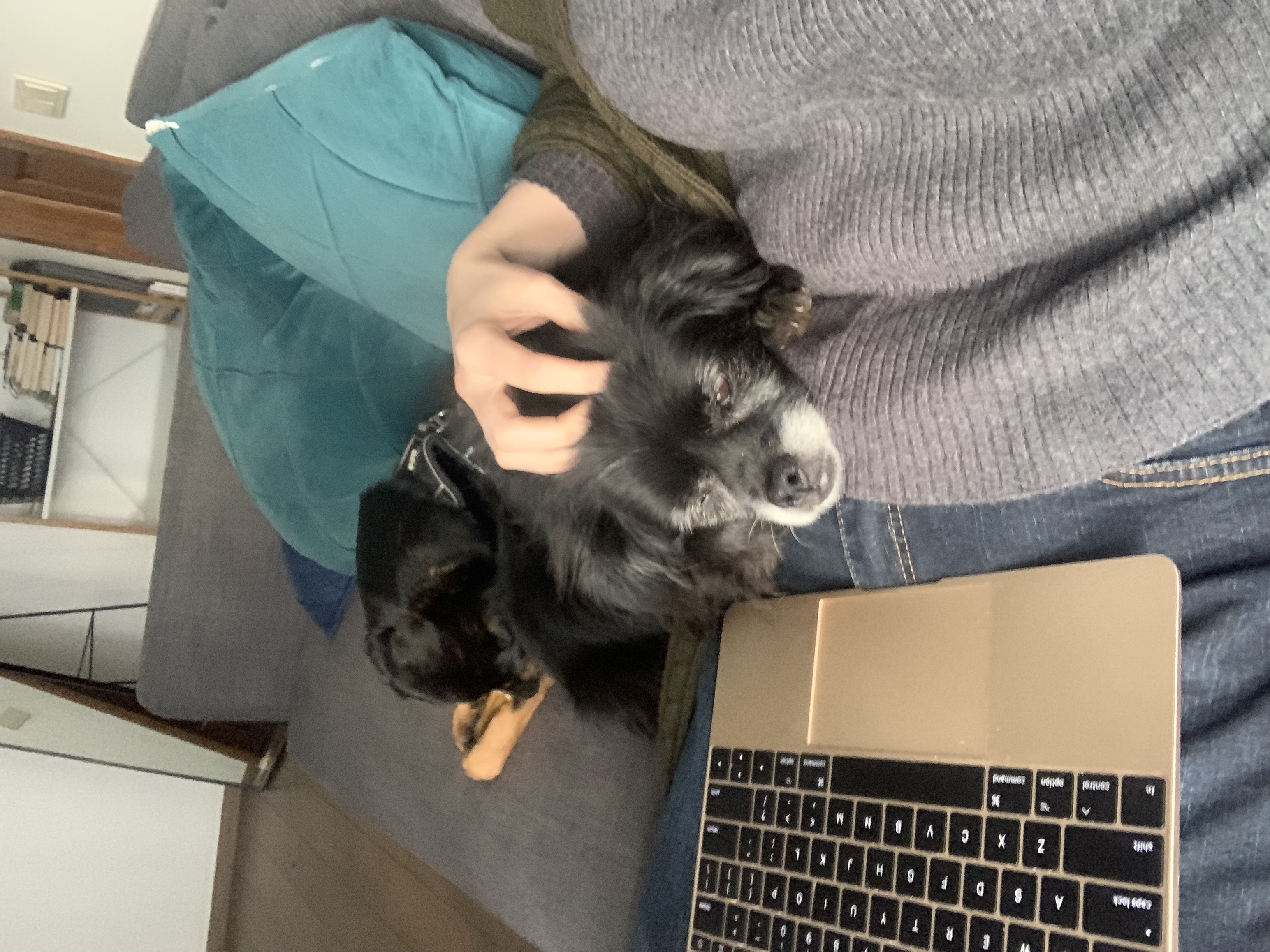 image-4