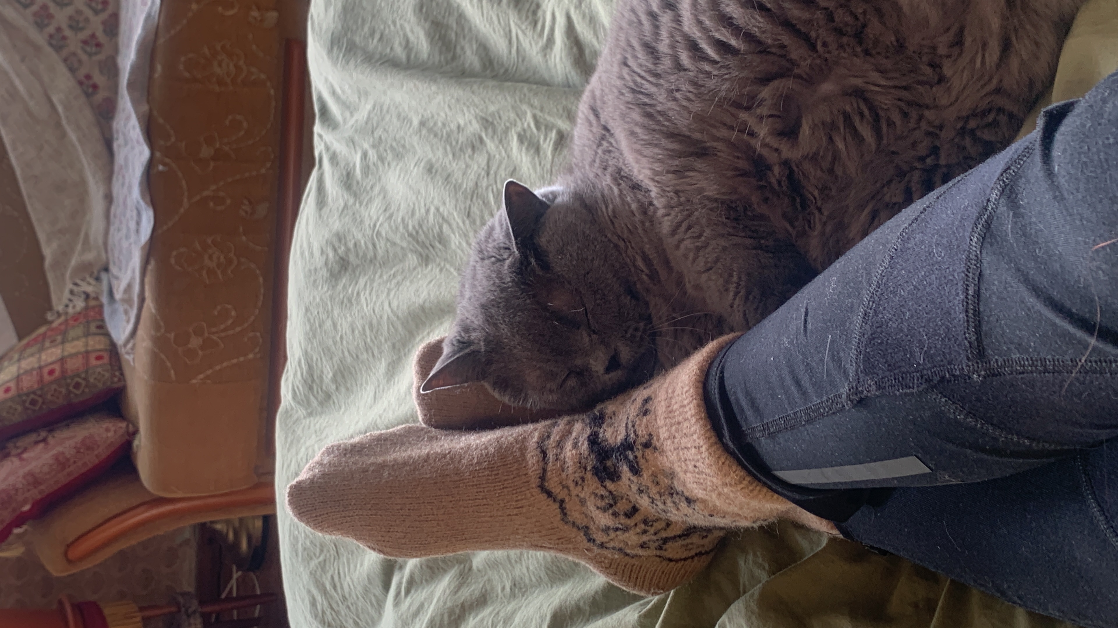 image-9