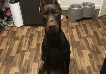 Pablo