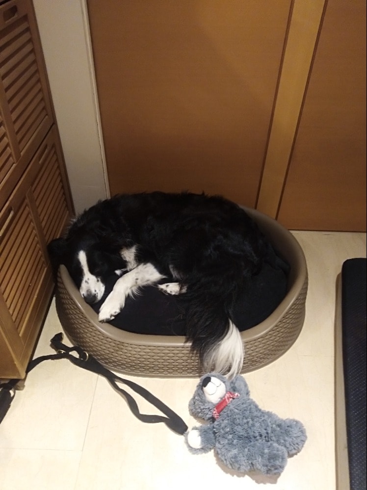image-9