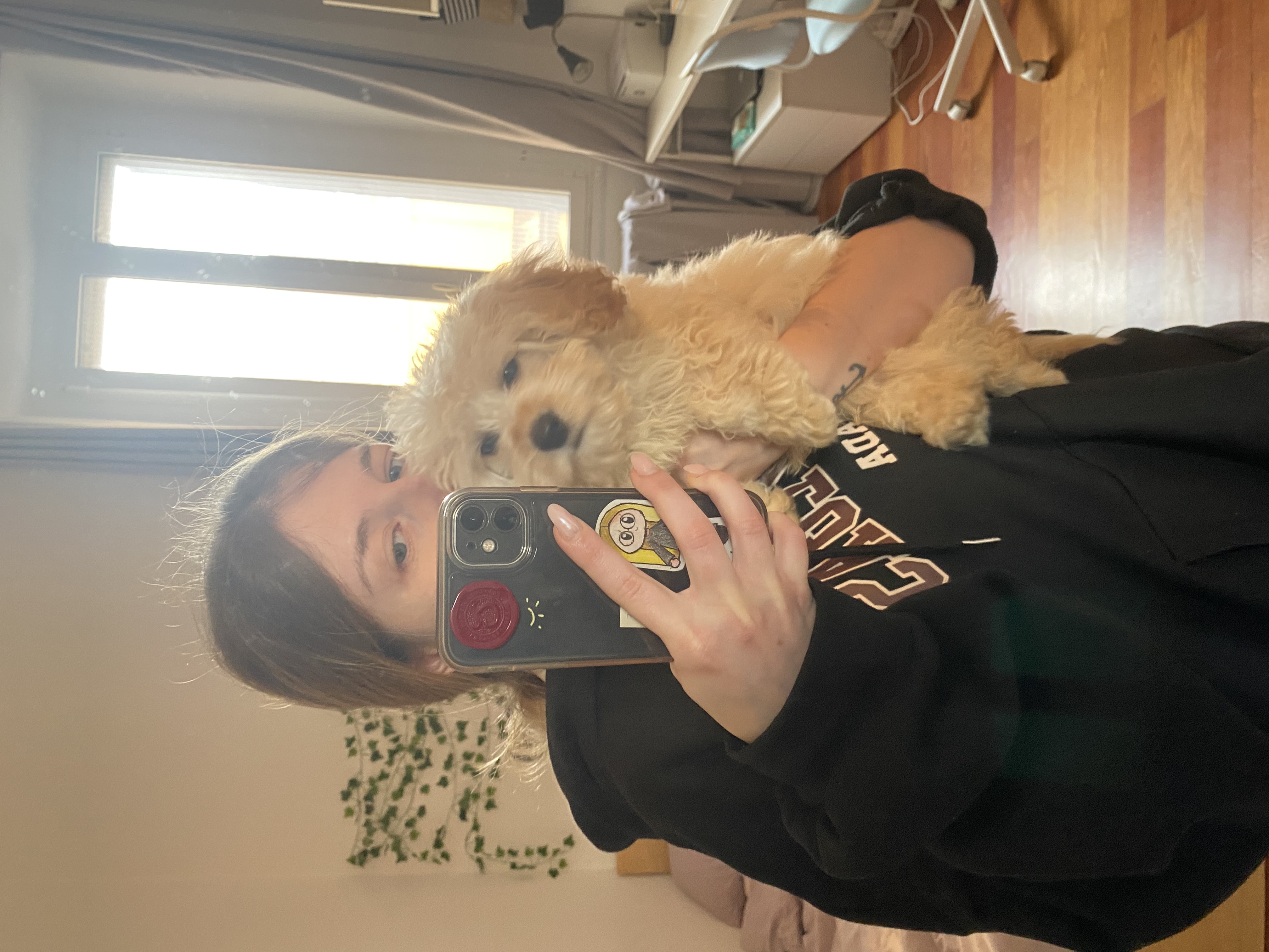 image-9