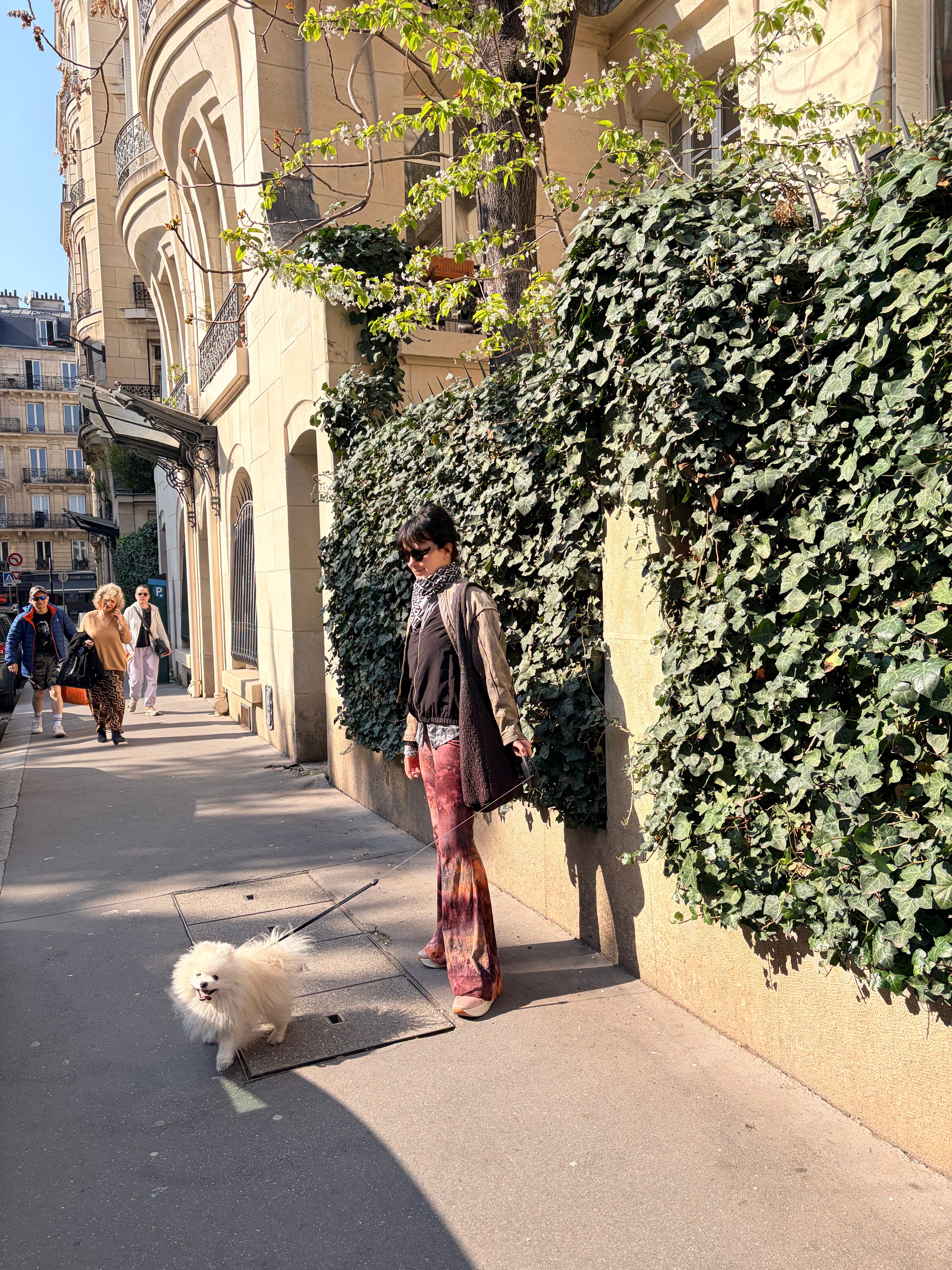 image-18