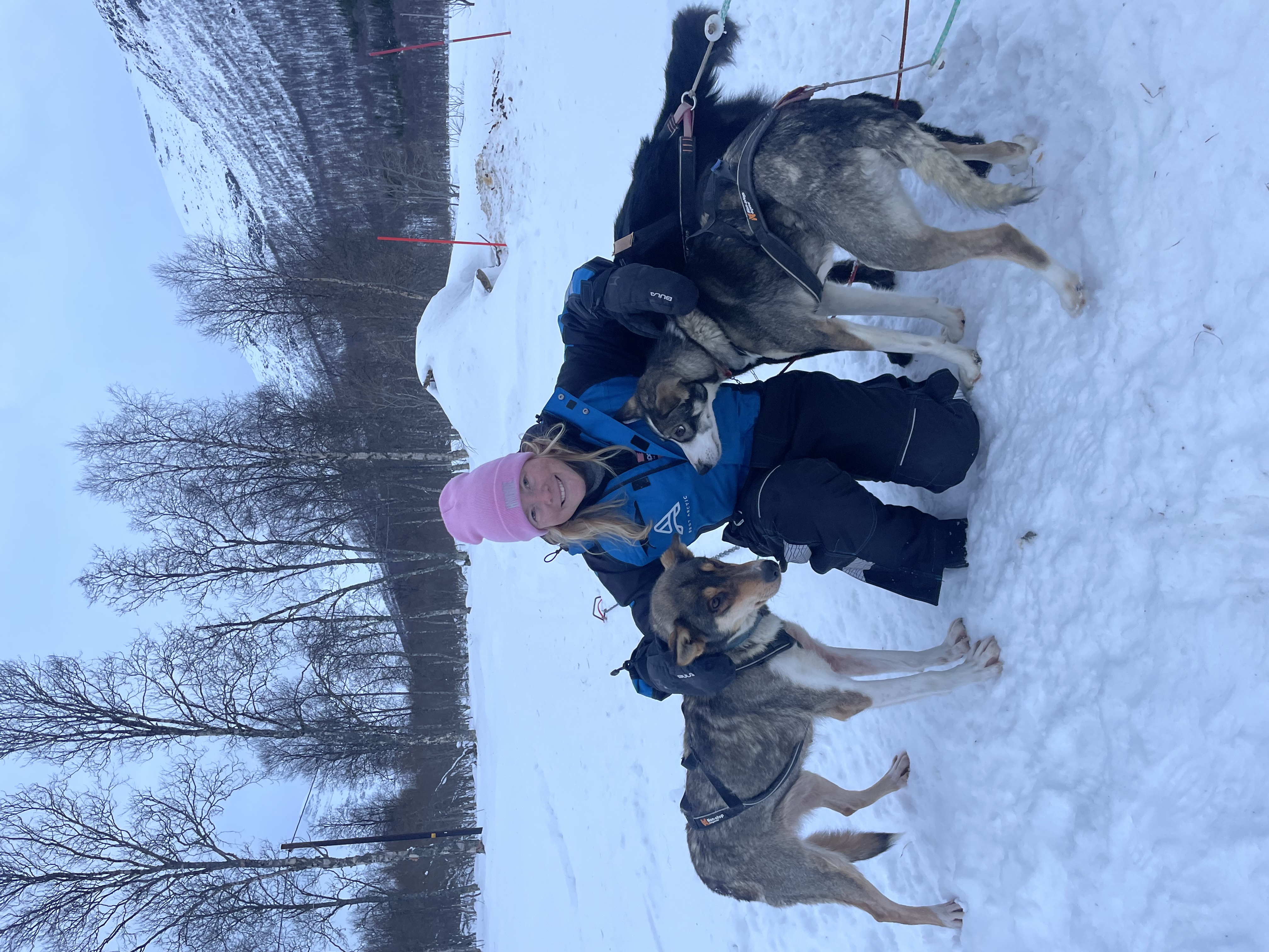 image-8
