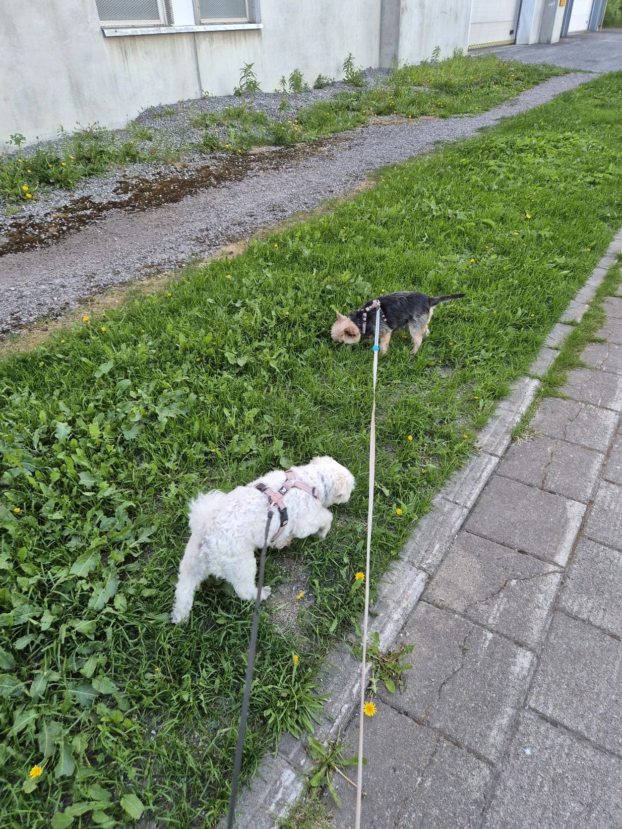 image-14