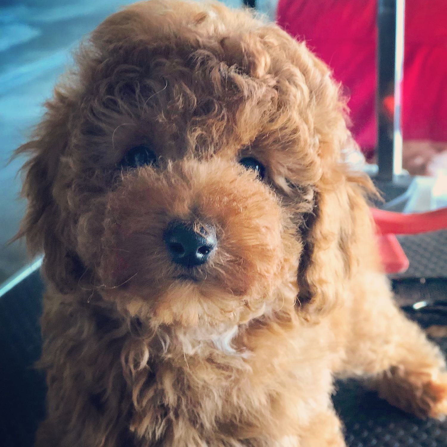 Ruby