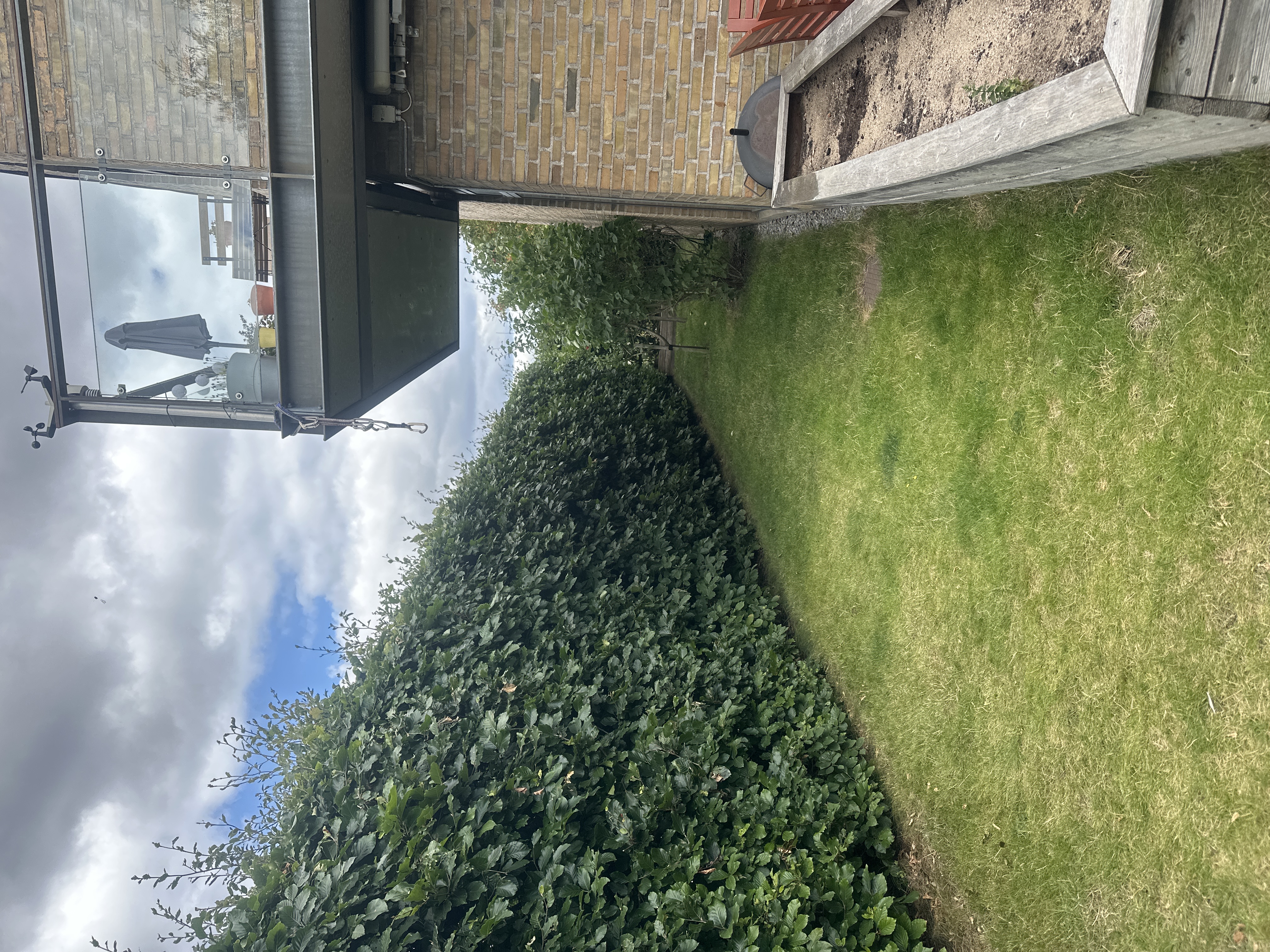 image-19