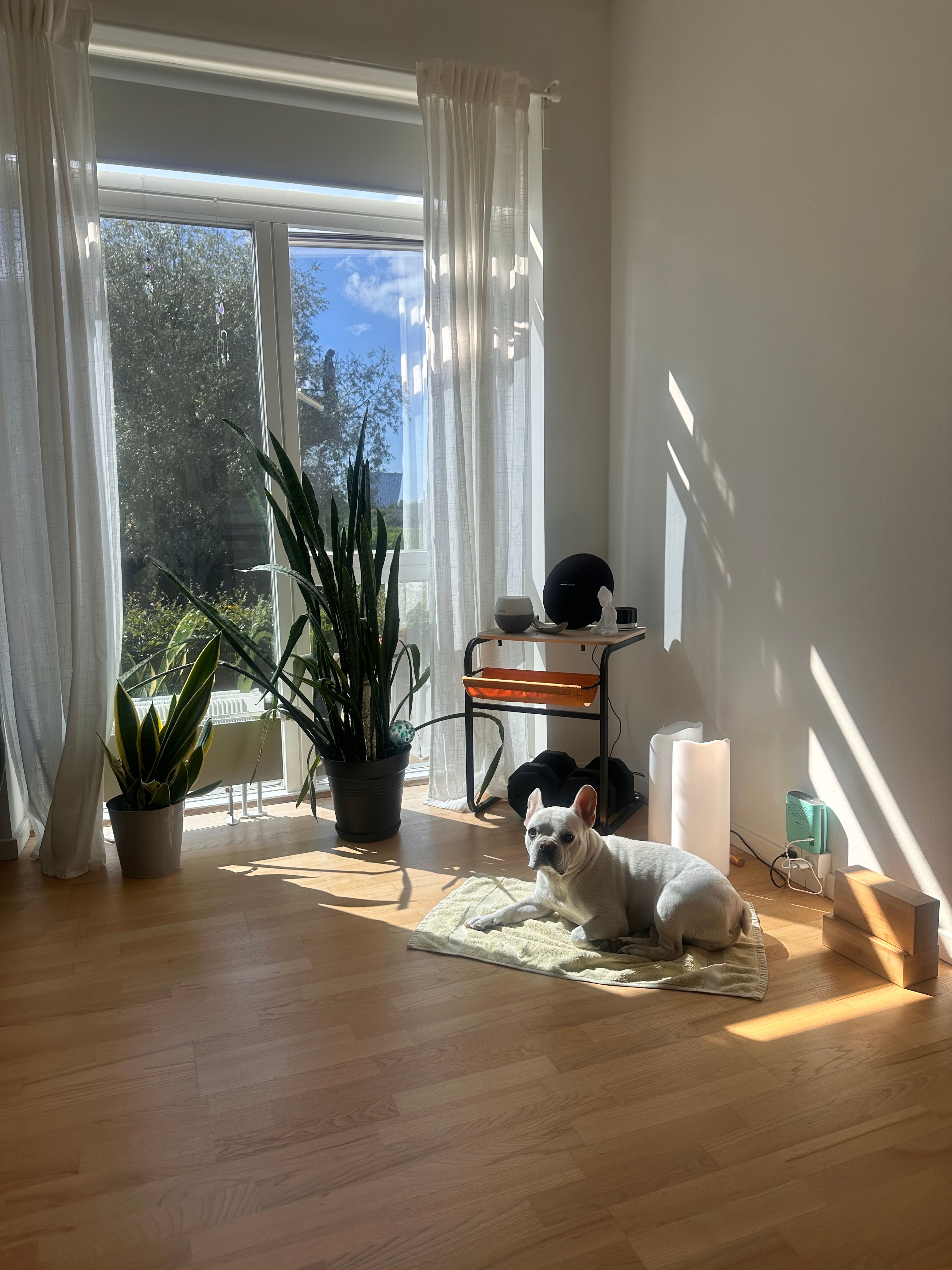 image-14