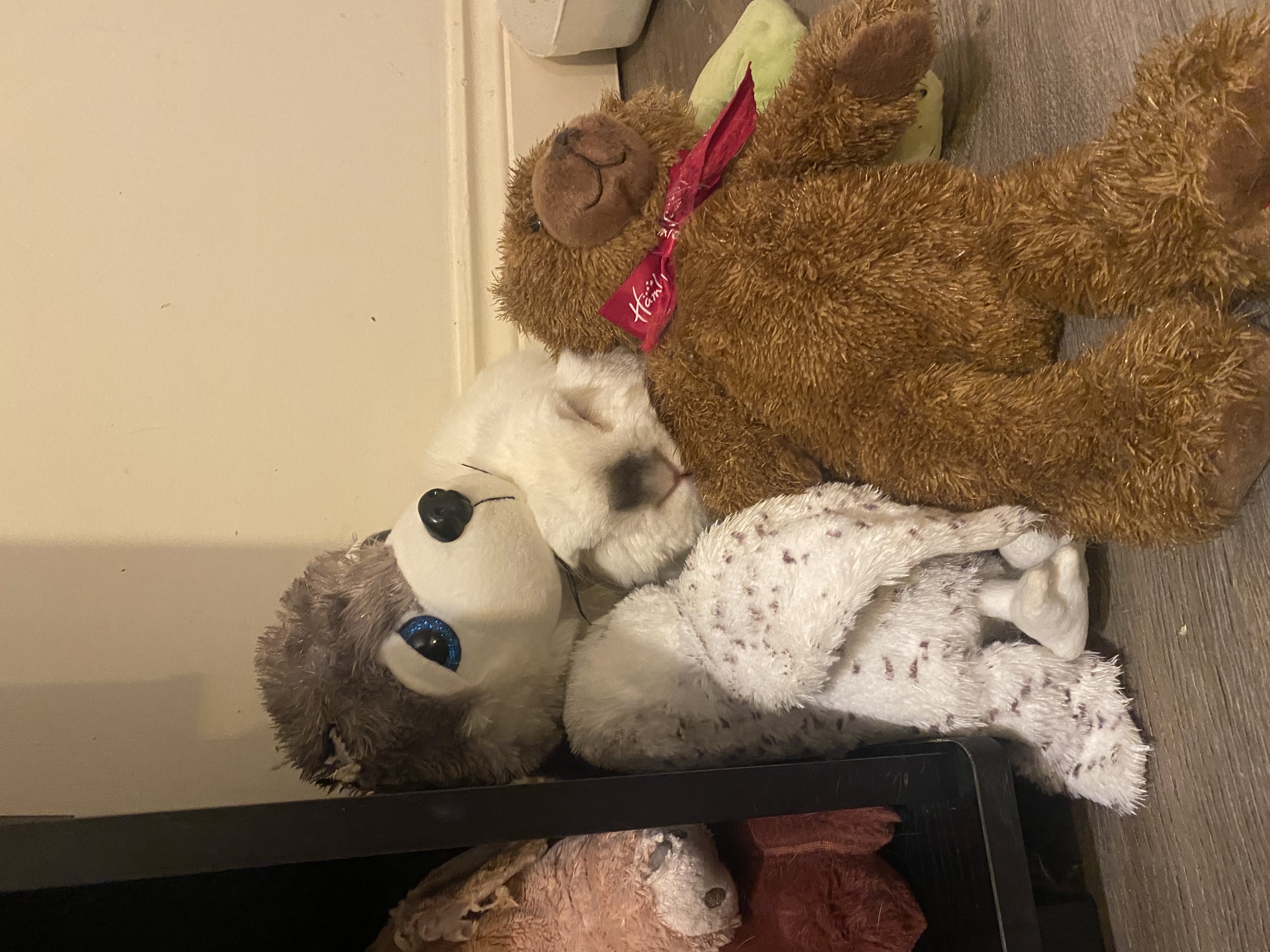 image-21