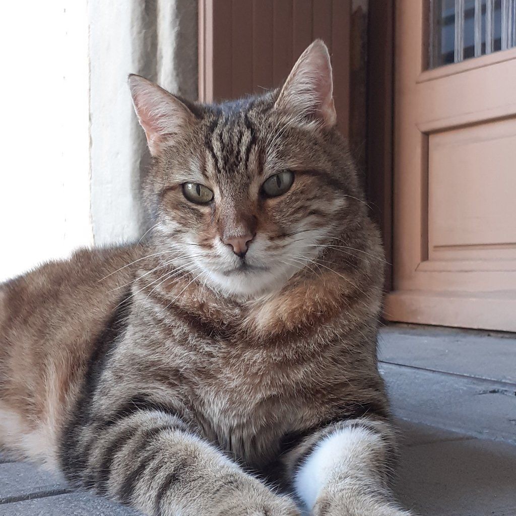Nelson