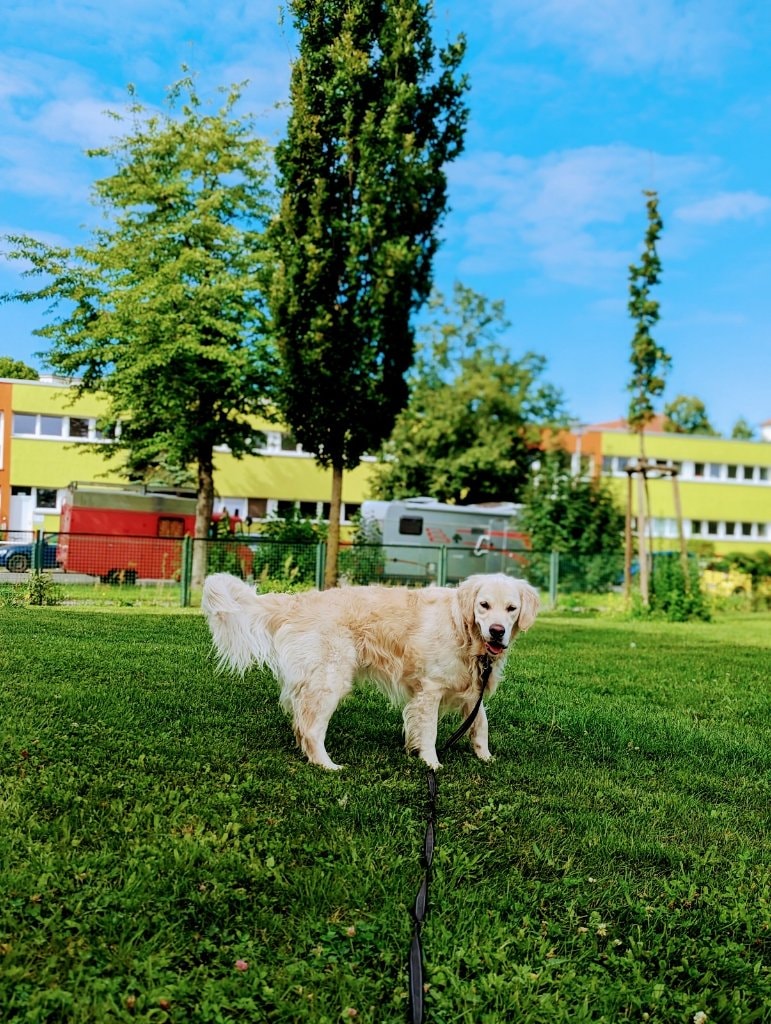 image-26