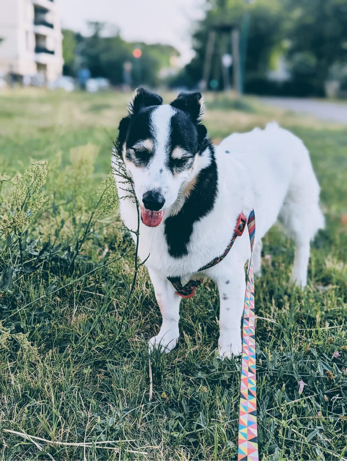 image-9