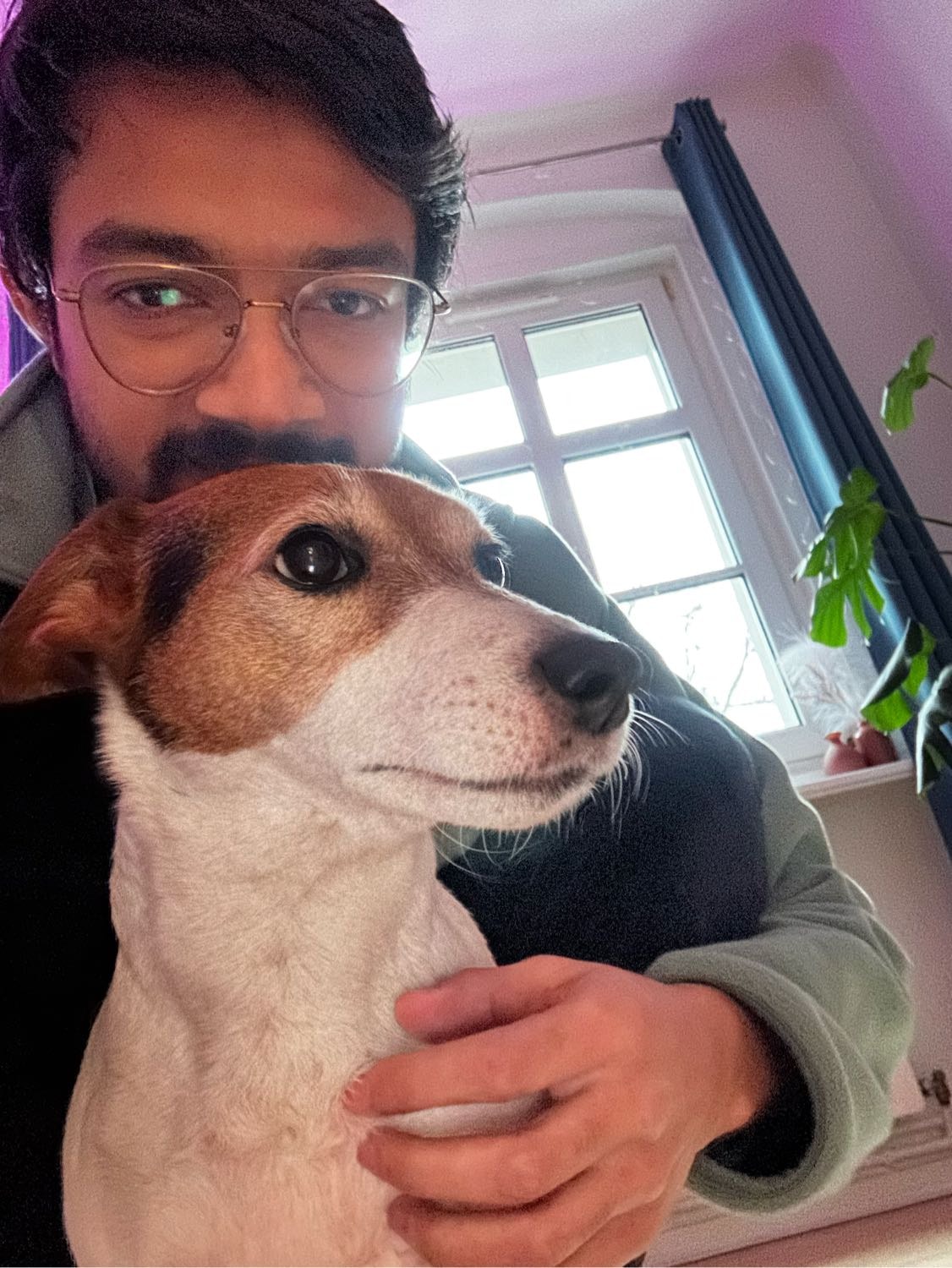 image-8