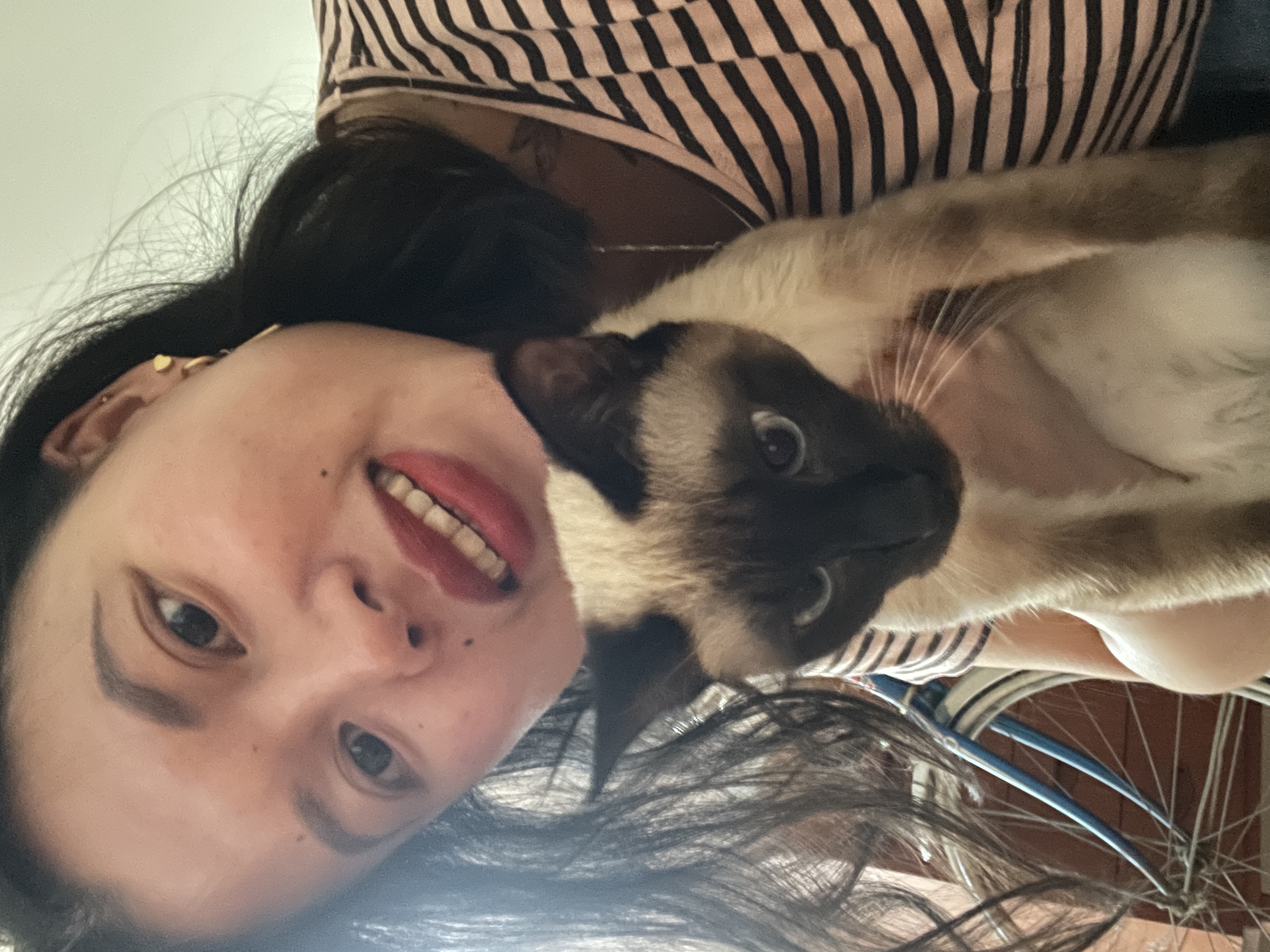 image-7