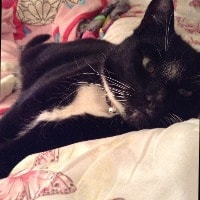 Felix