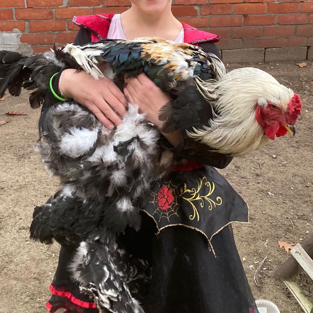 Mike, Sully, Boo, Nugget, Yzma en Kronk 