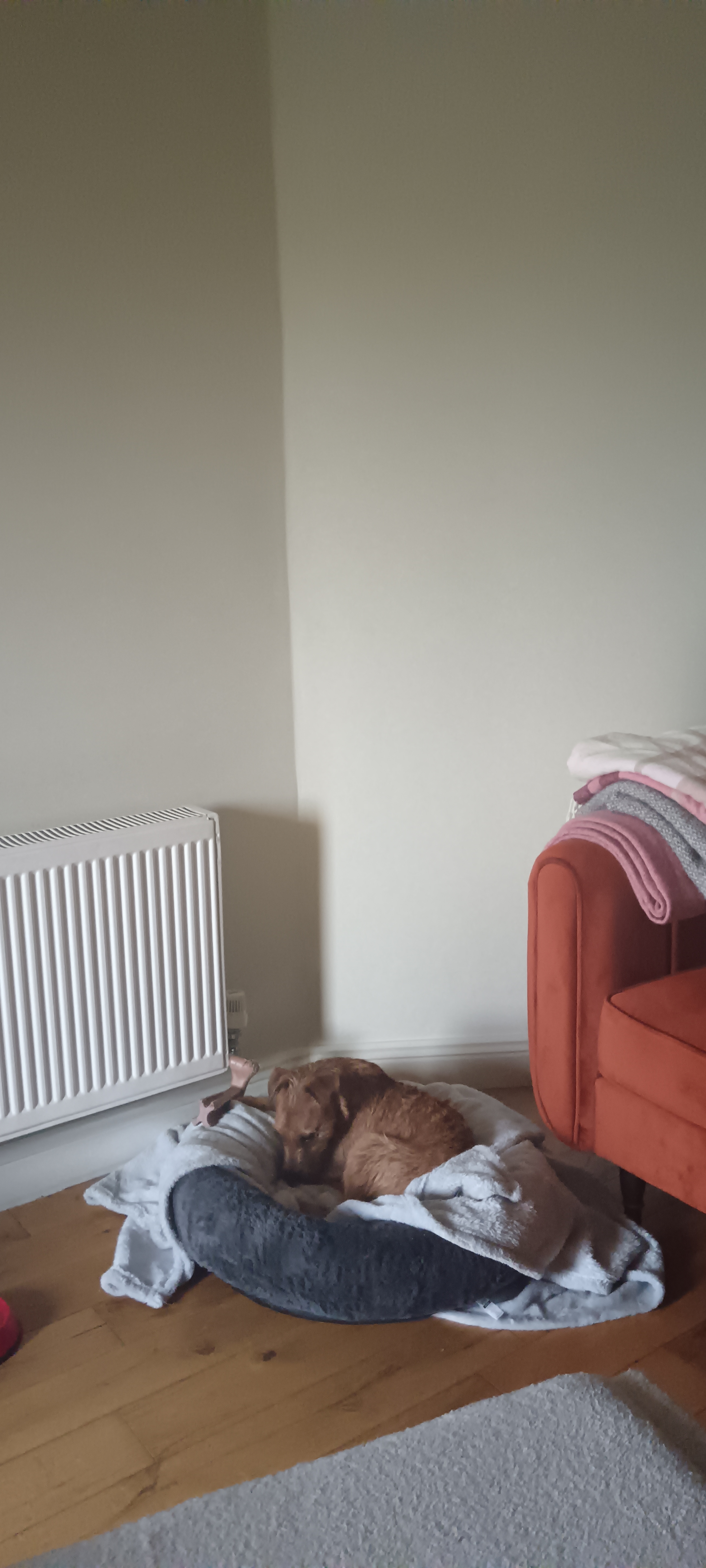 image-17