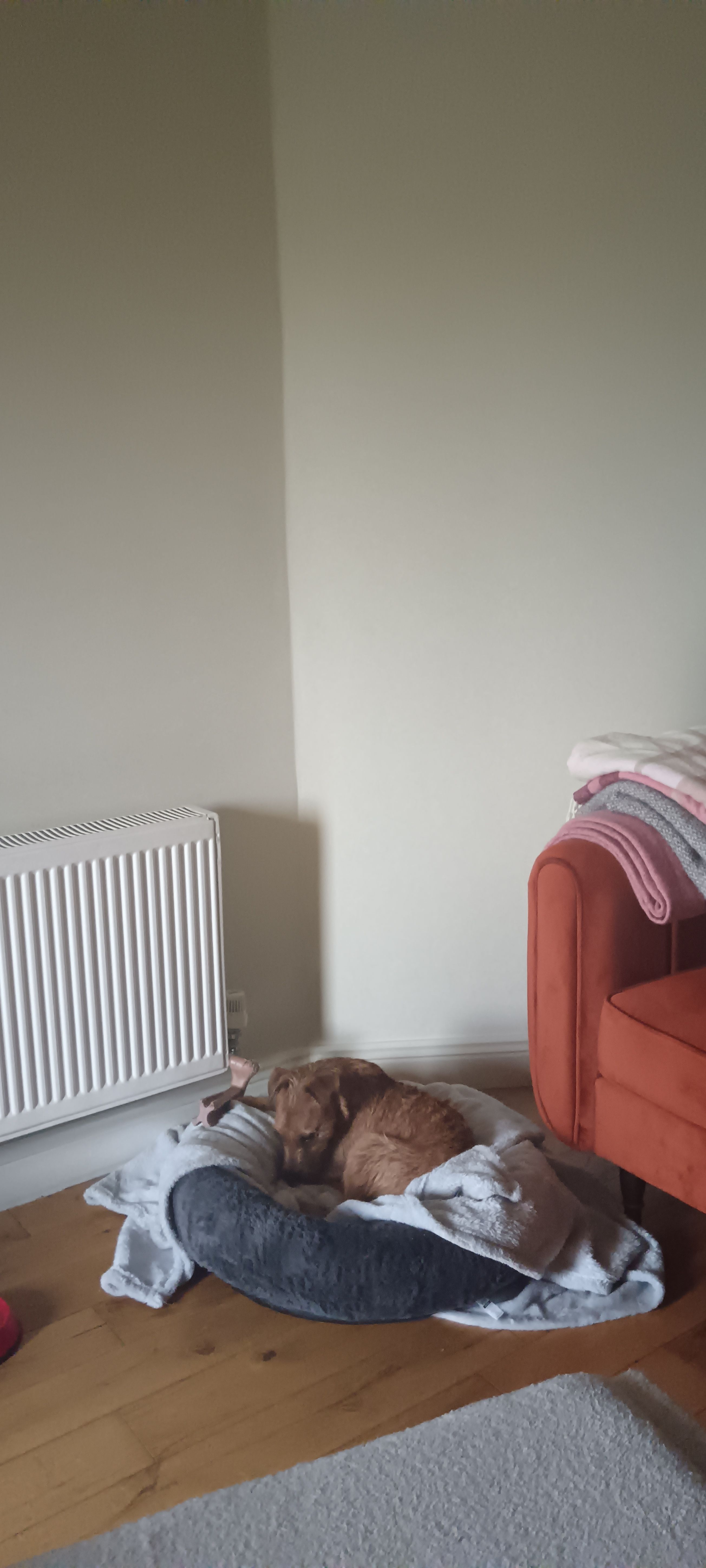 image-17