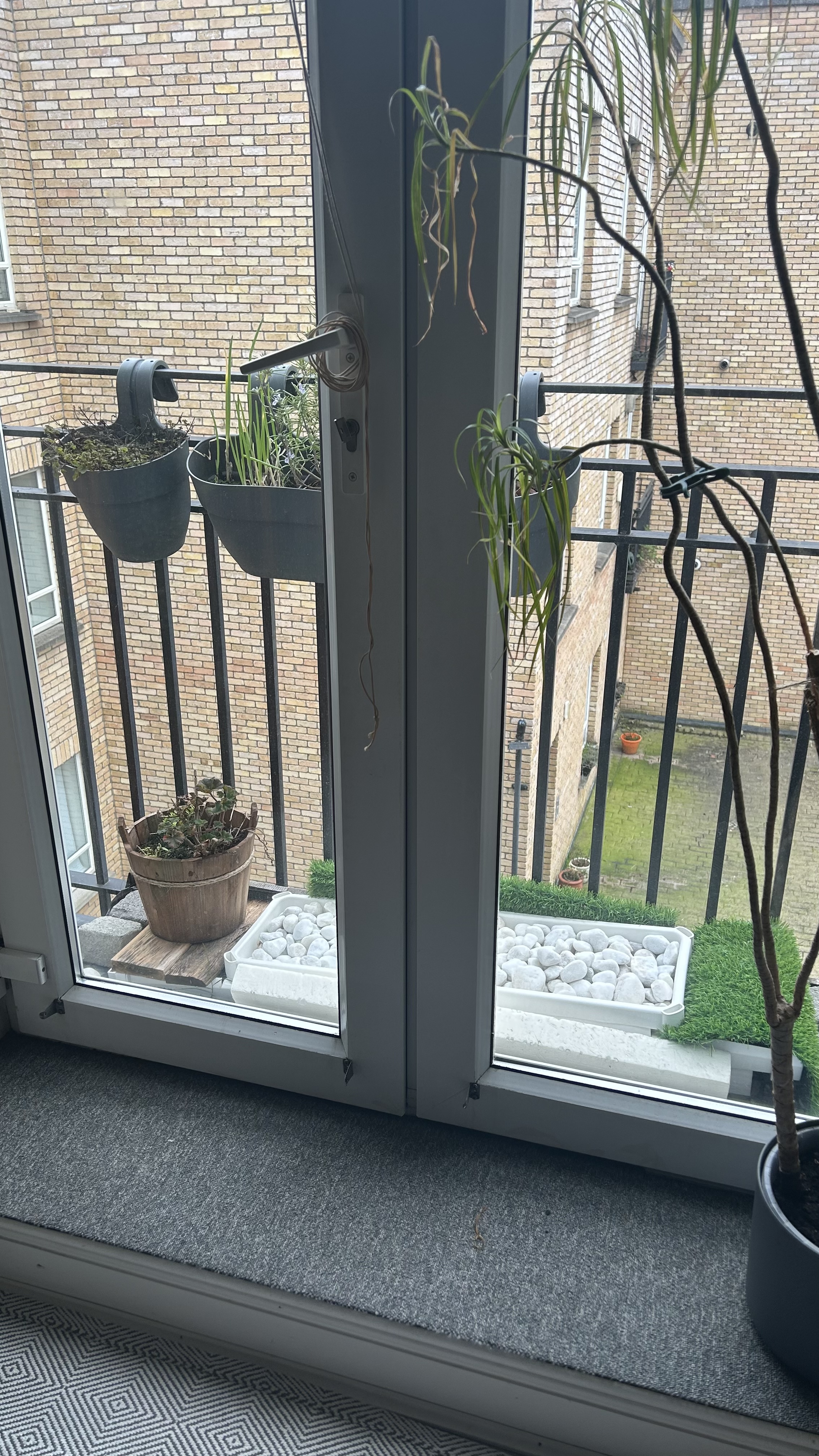 image-18