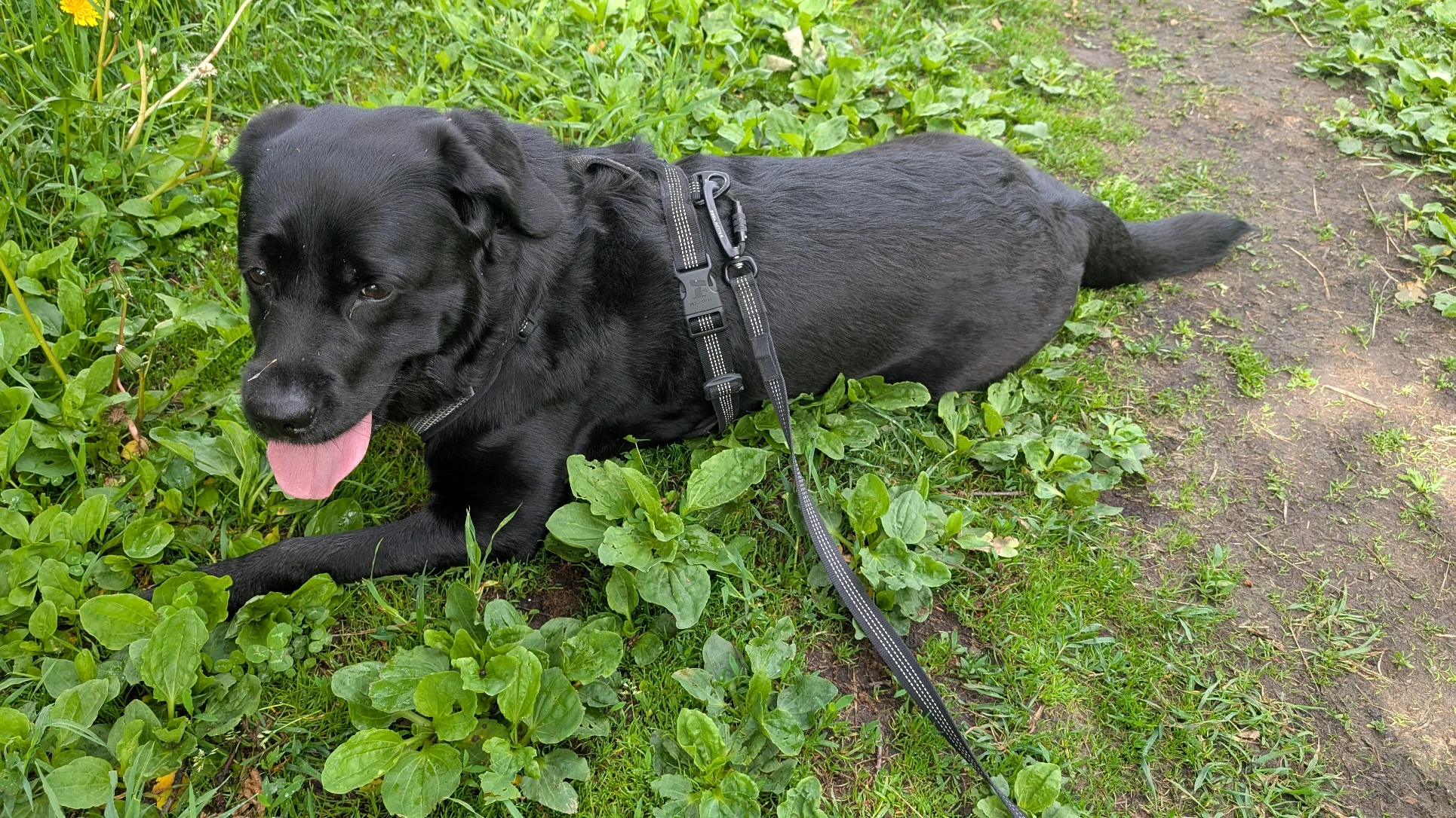 image-14