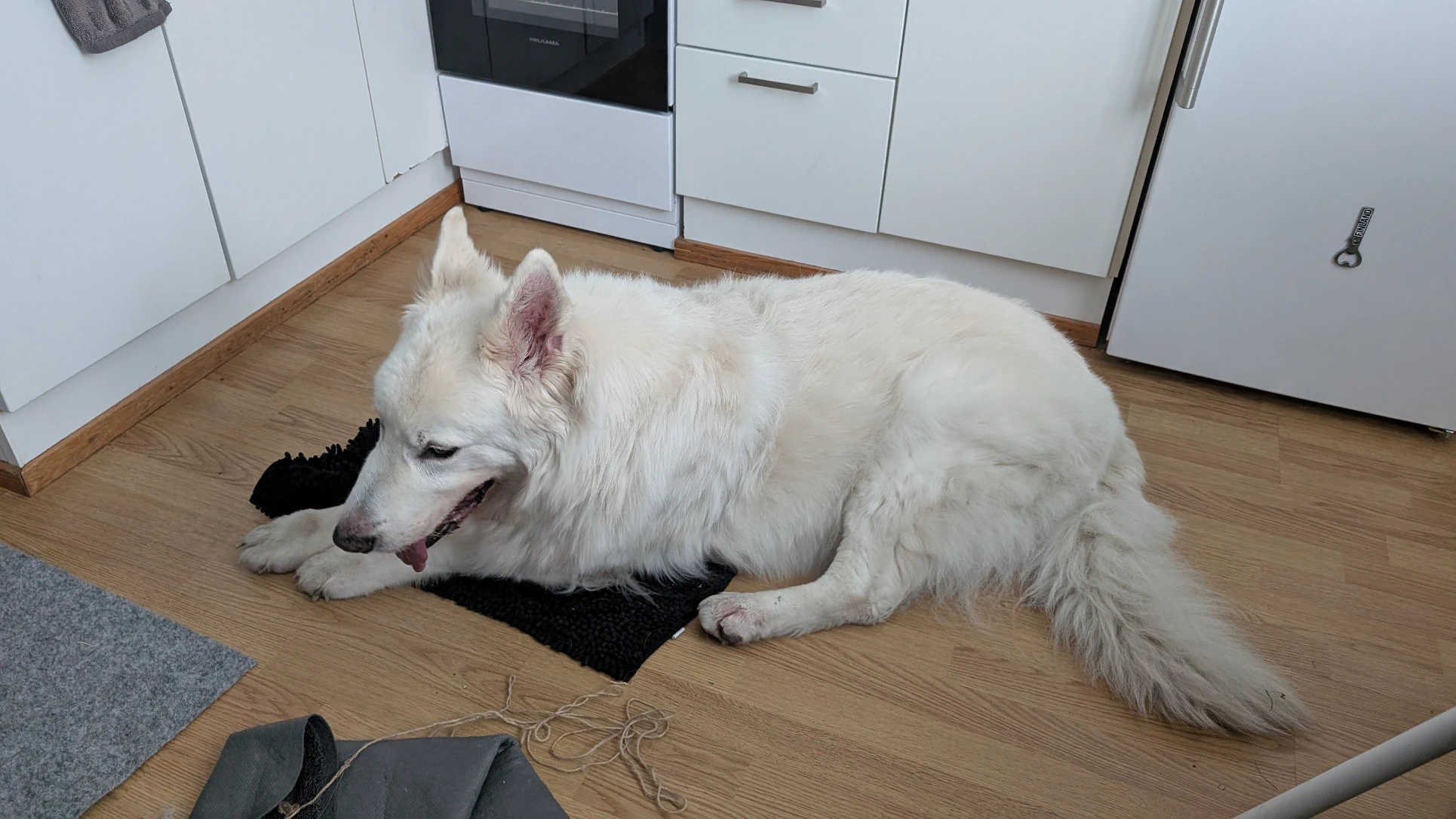 image-18