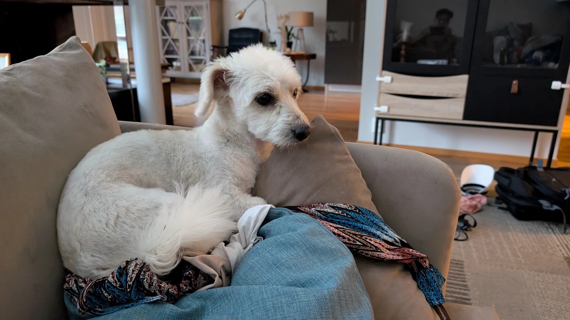 image-11