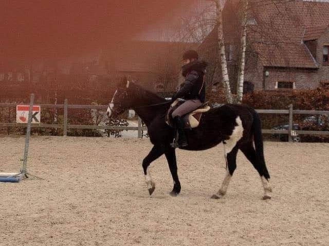 image-9
