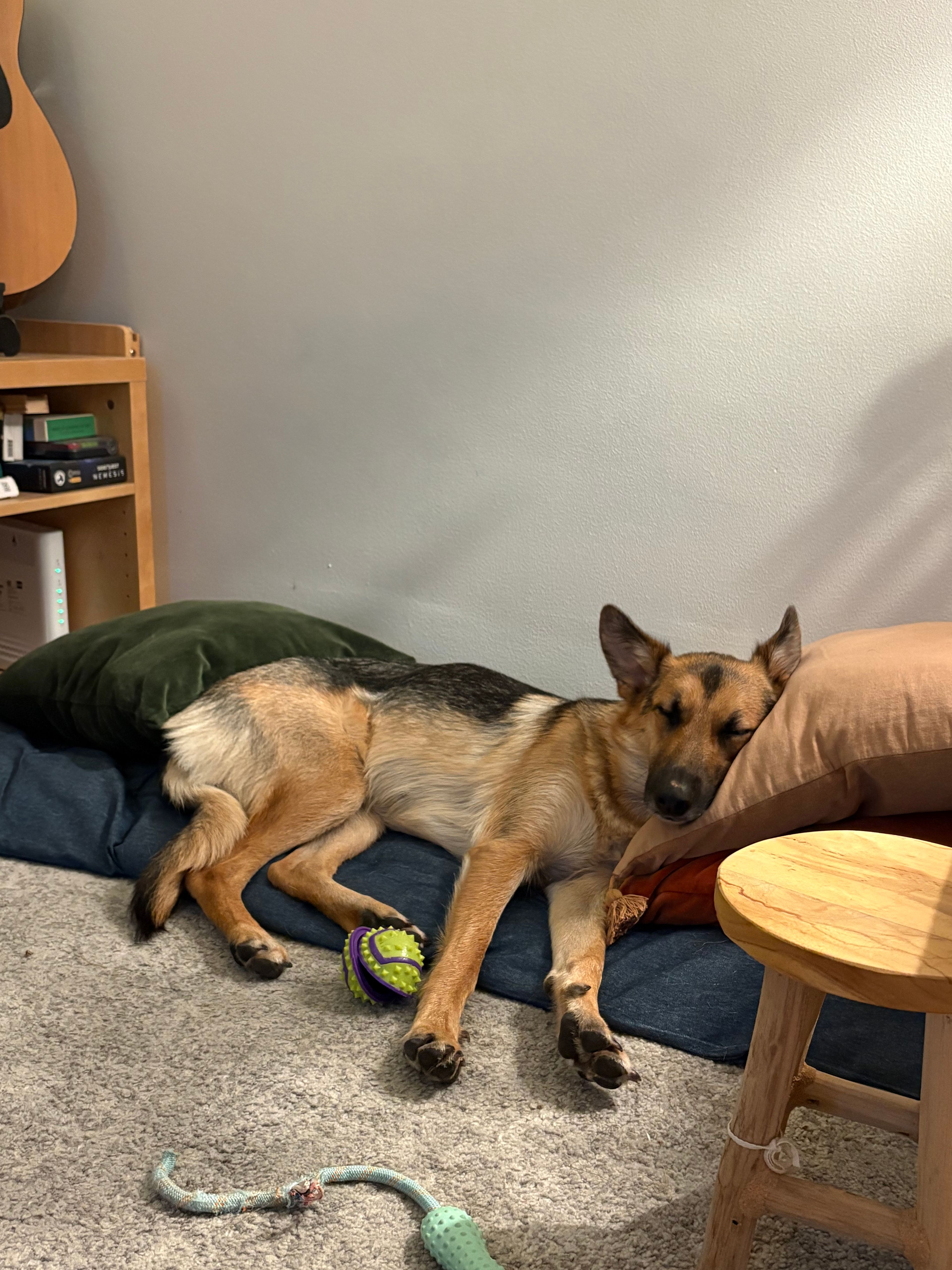 image-13