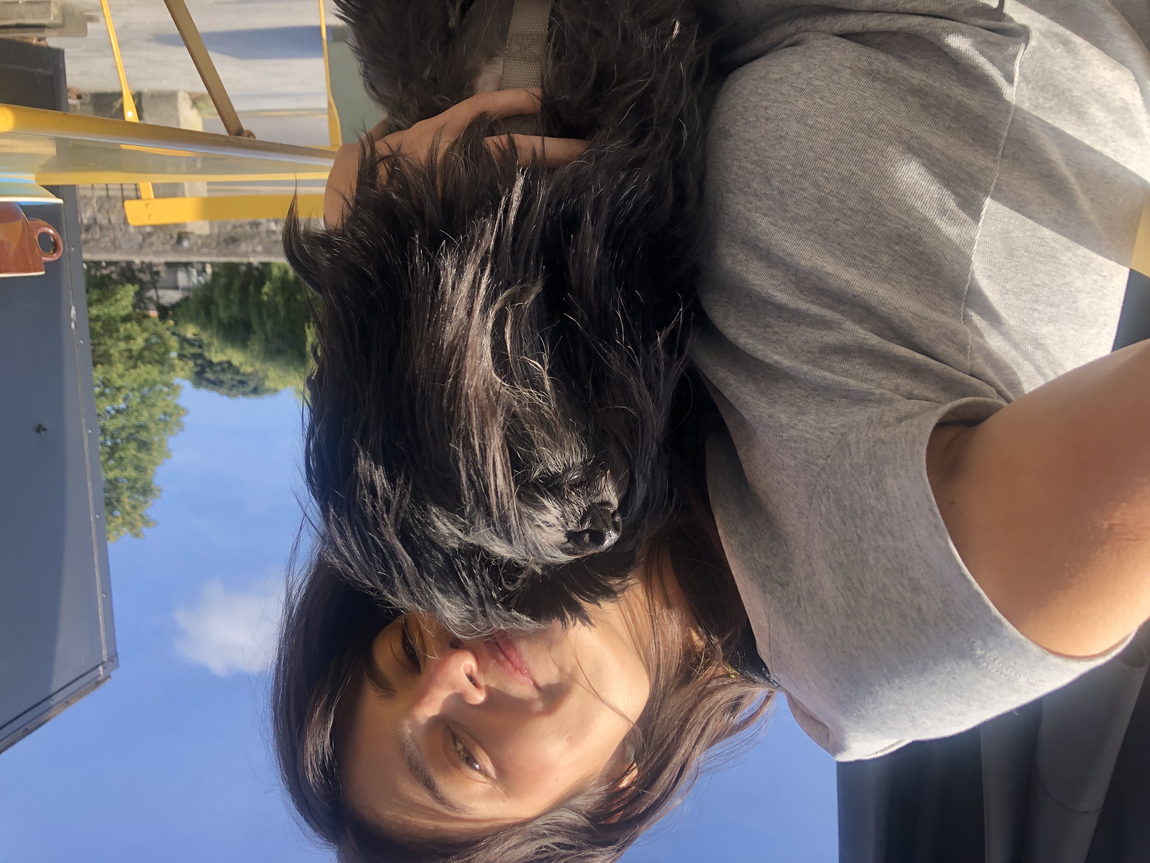 image-11