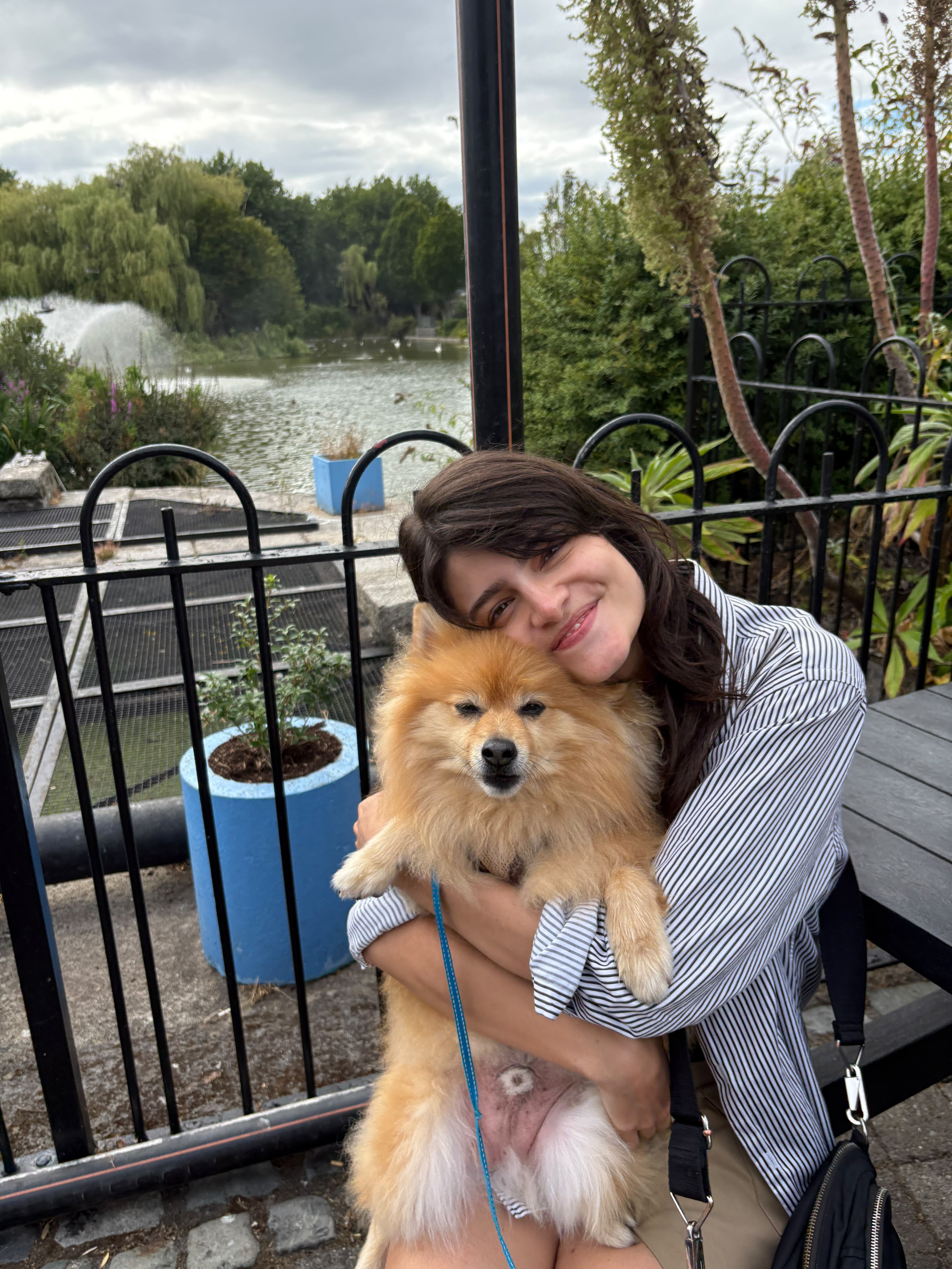 image-12