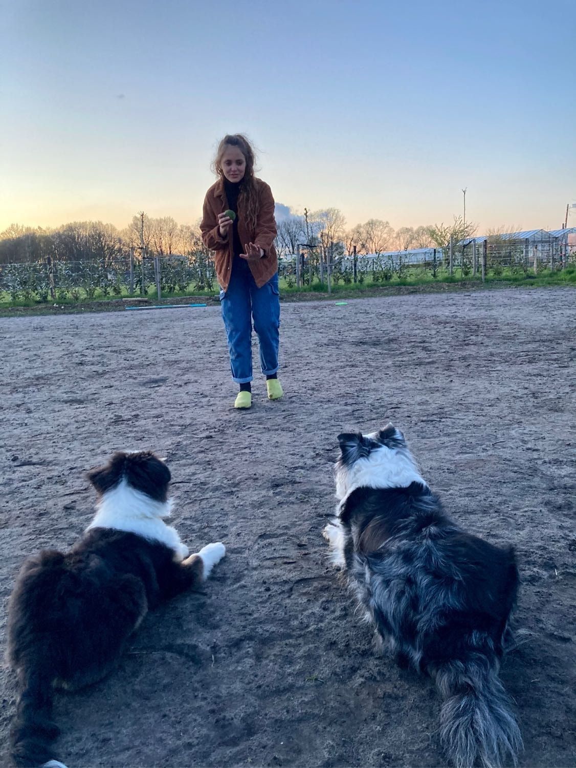 image-3