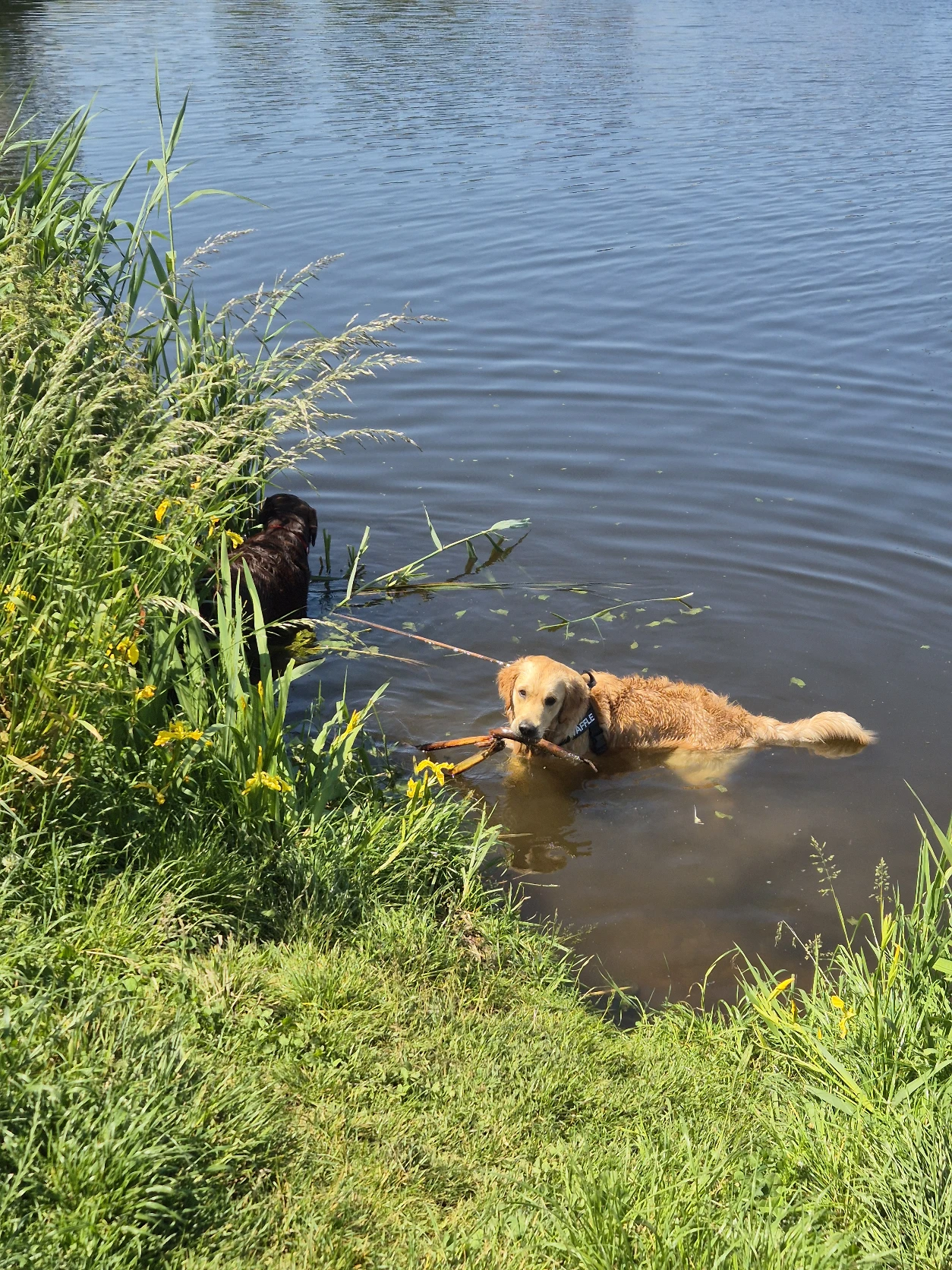 image-43