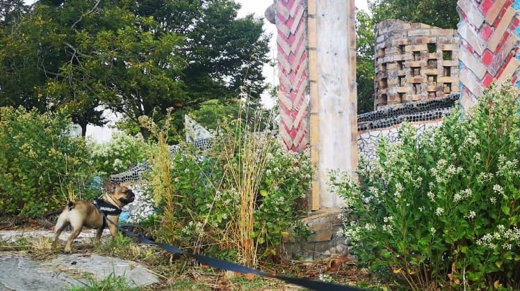 image-6