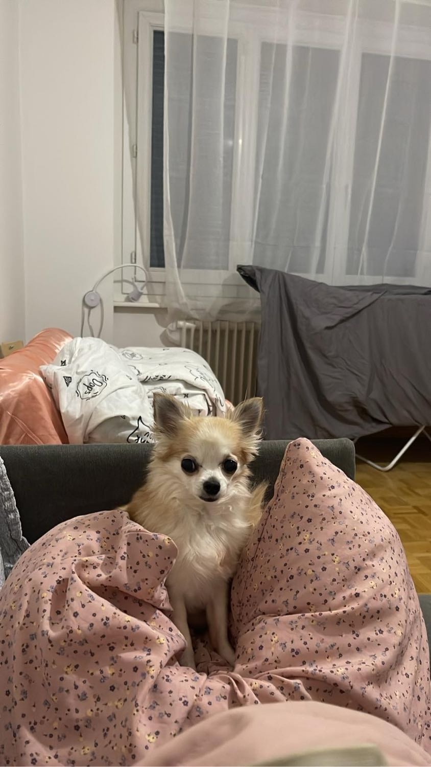 image-8
