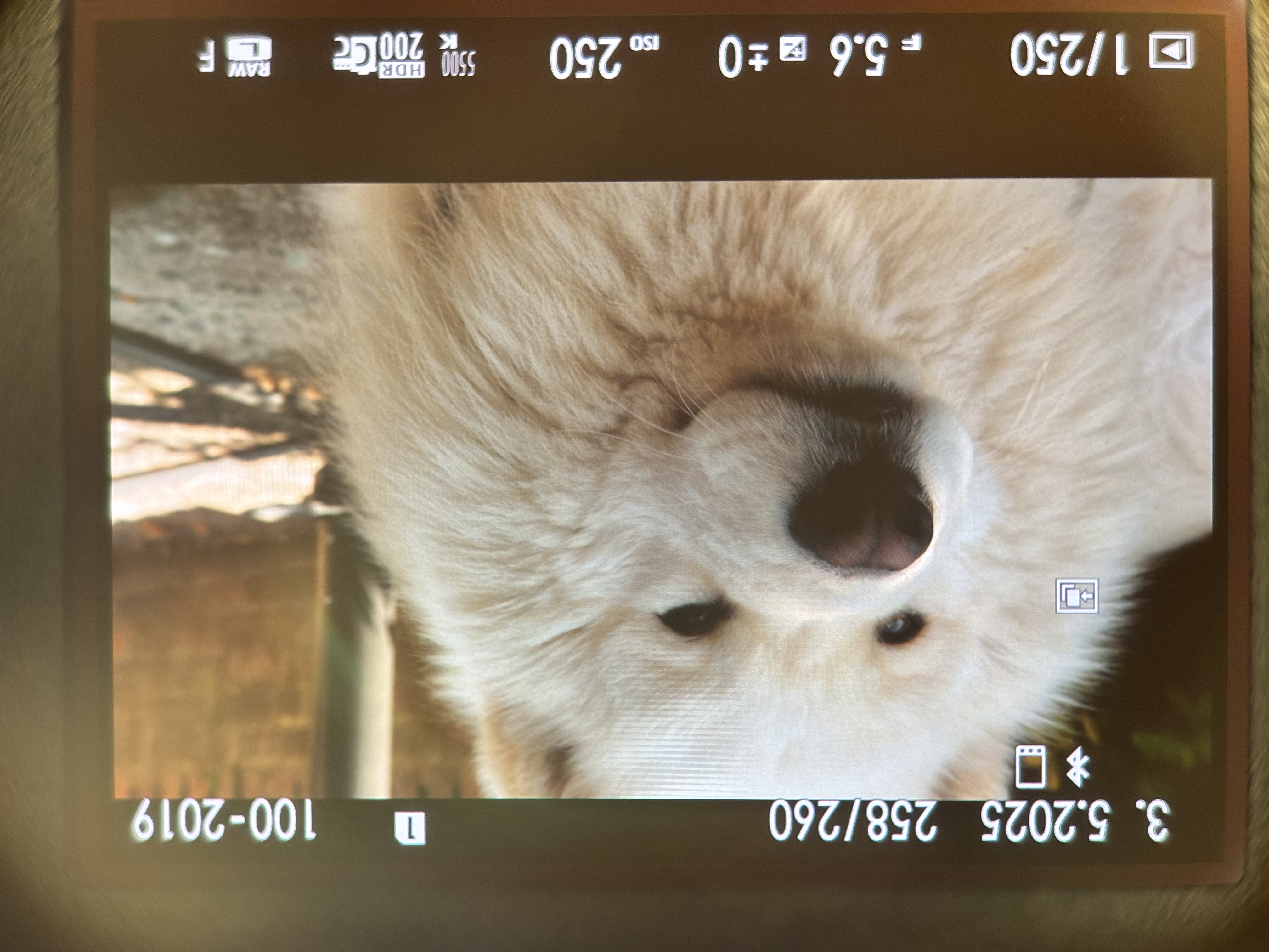 image-0