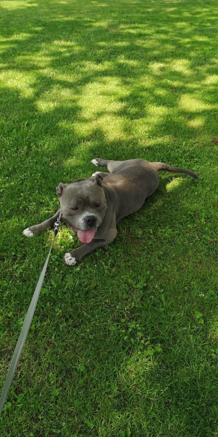 image-6