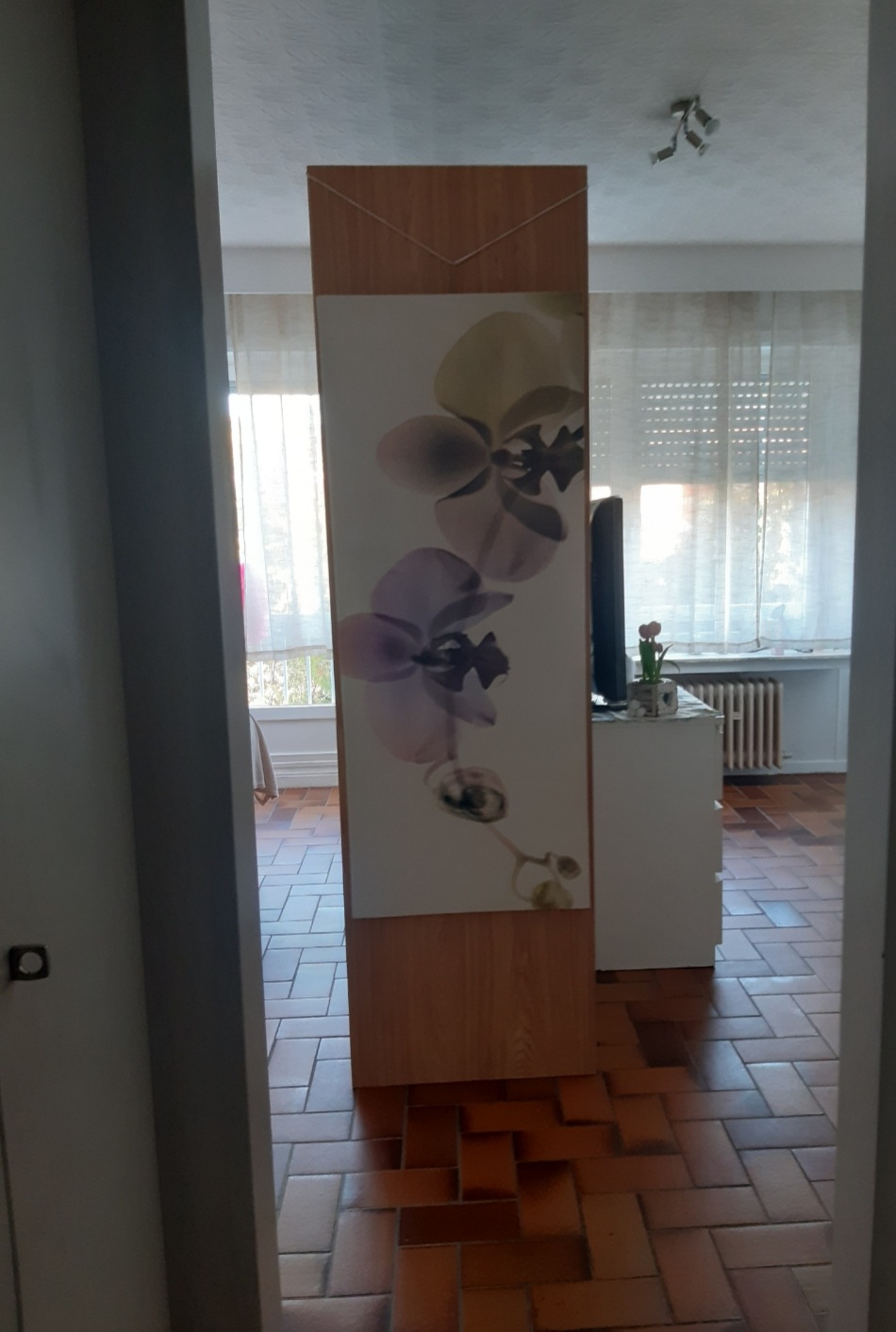 image-21