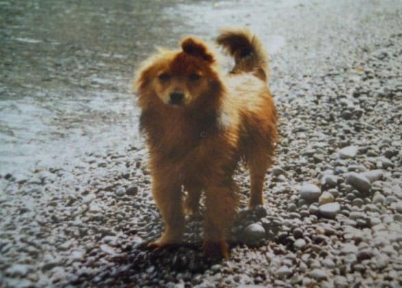 image-5
