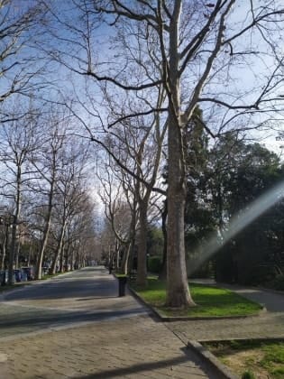 image-13