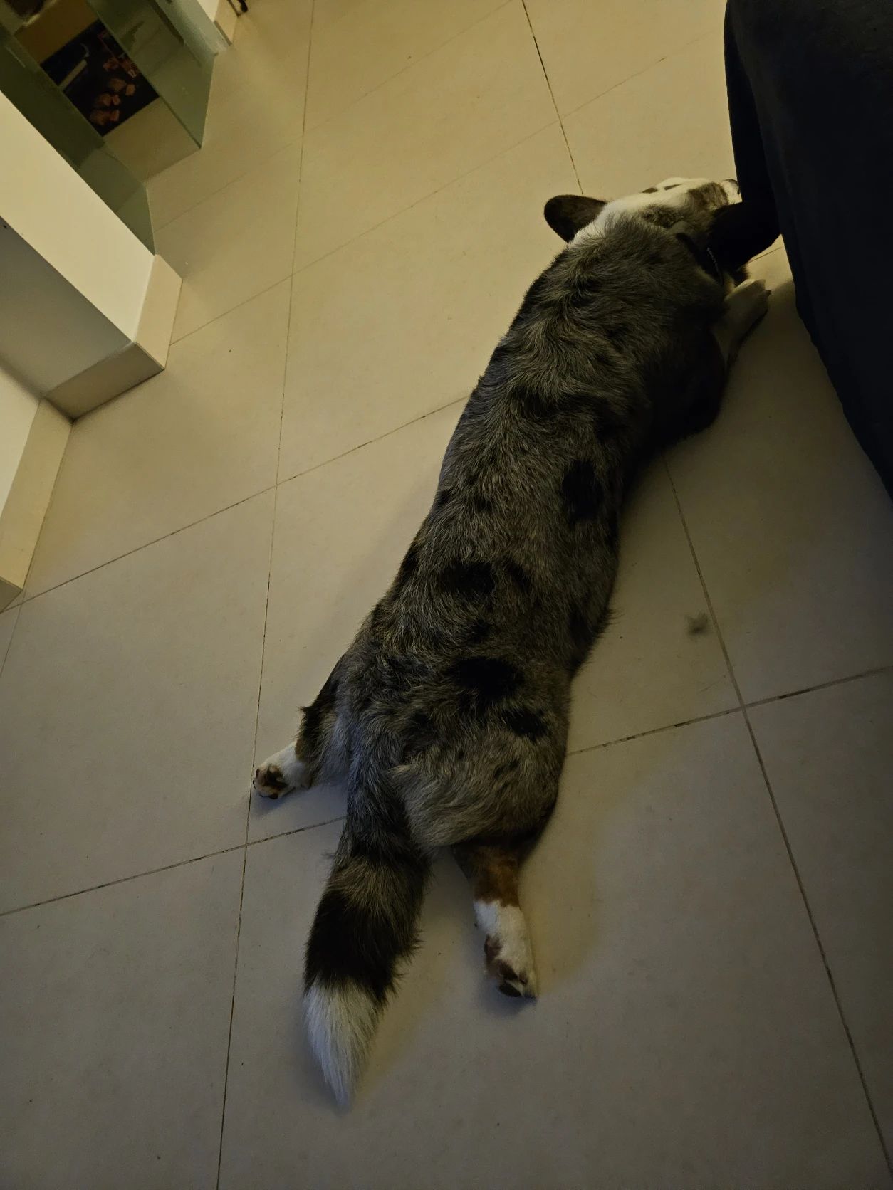 image-11