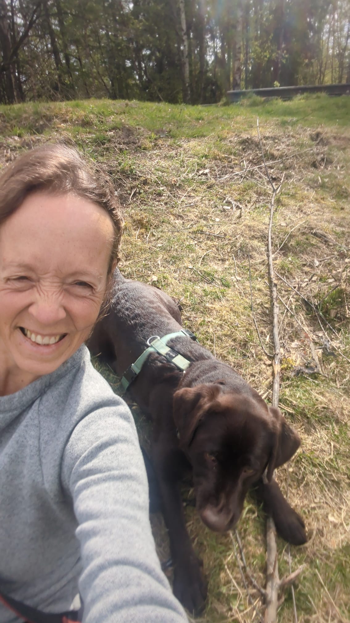 image-4