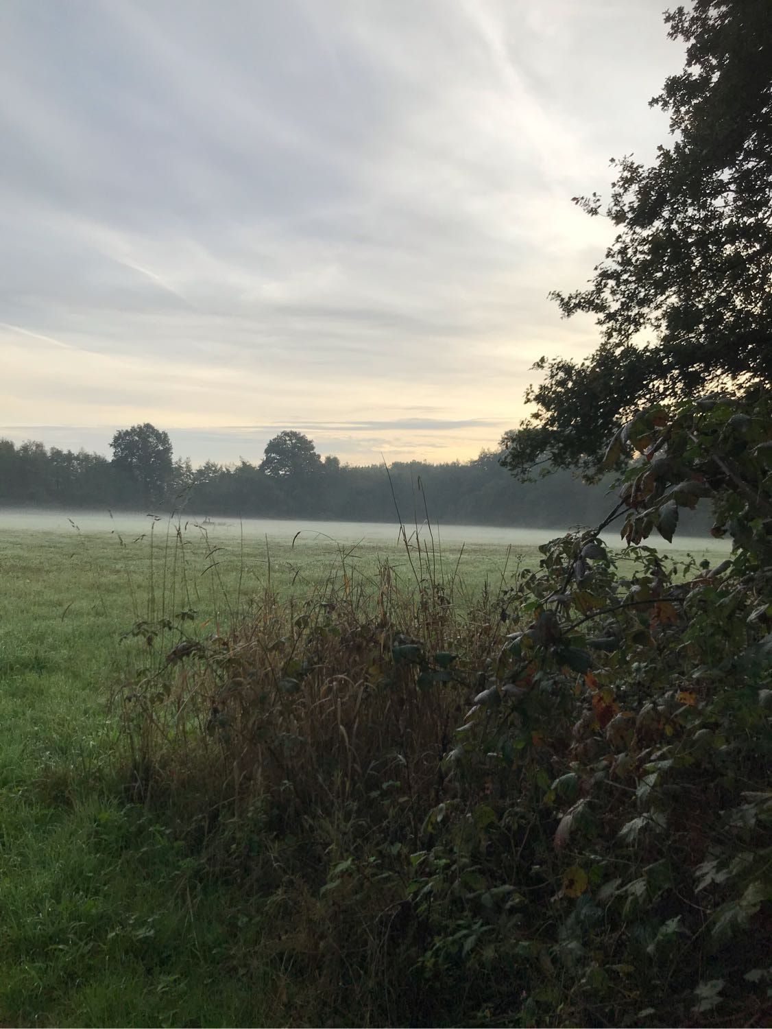 image-20