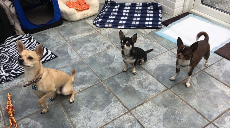 image-28