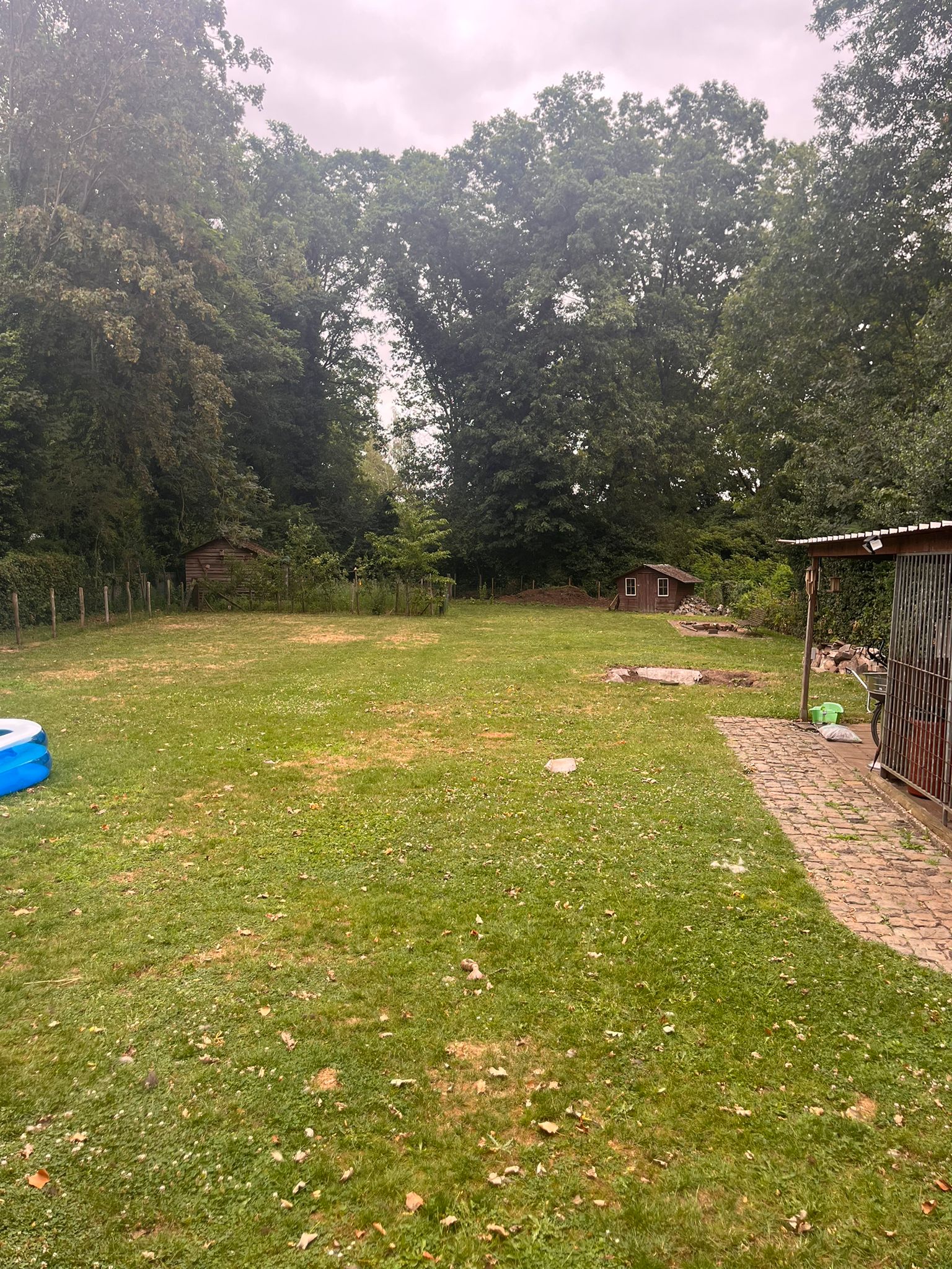 image-14