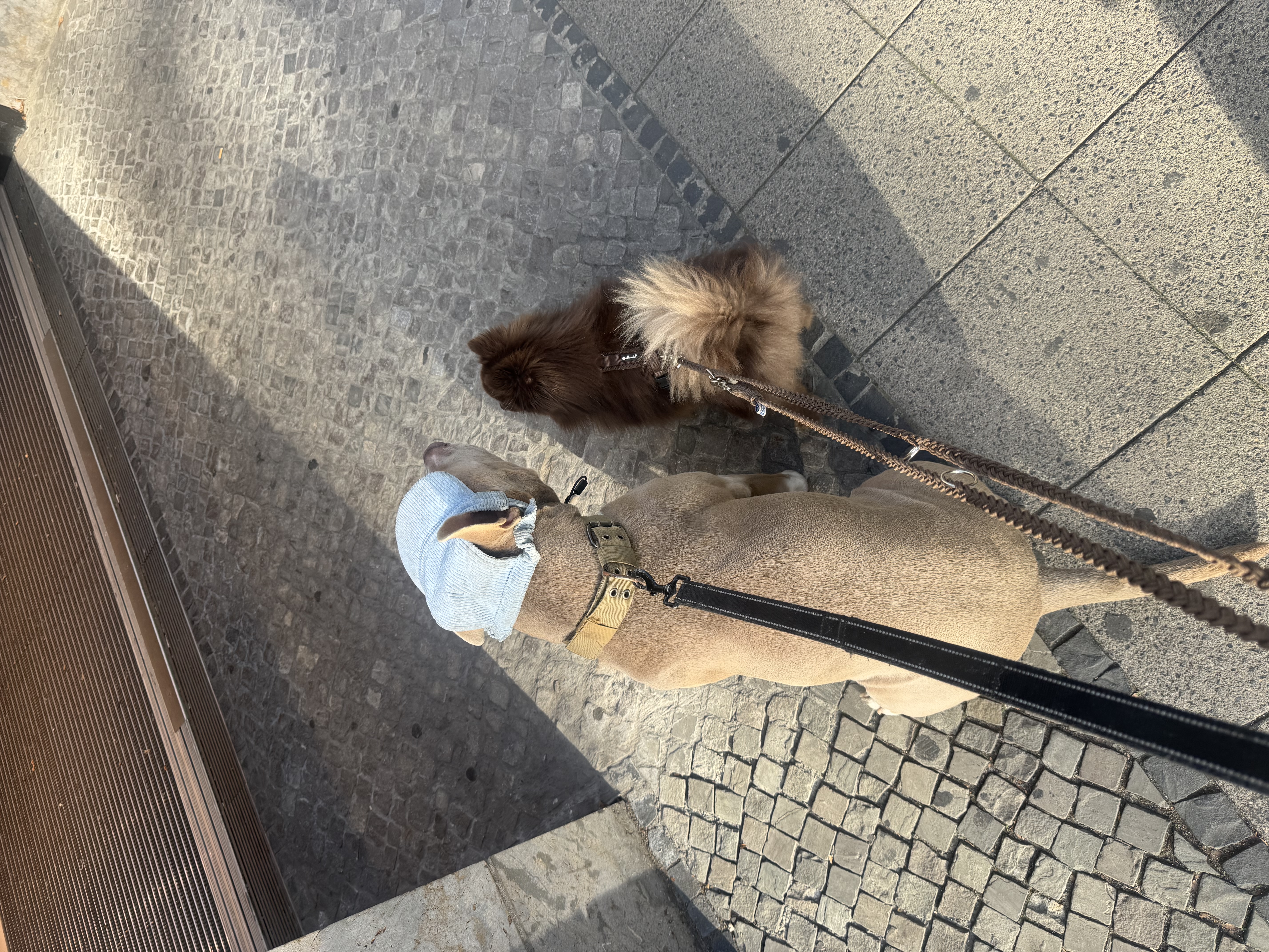 image-7