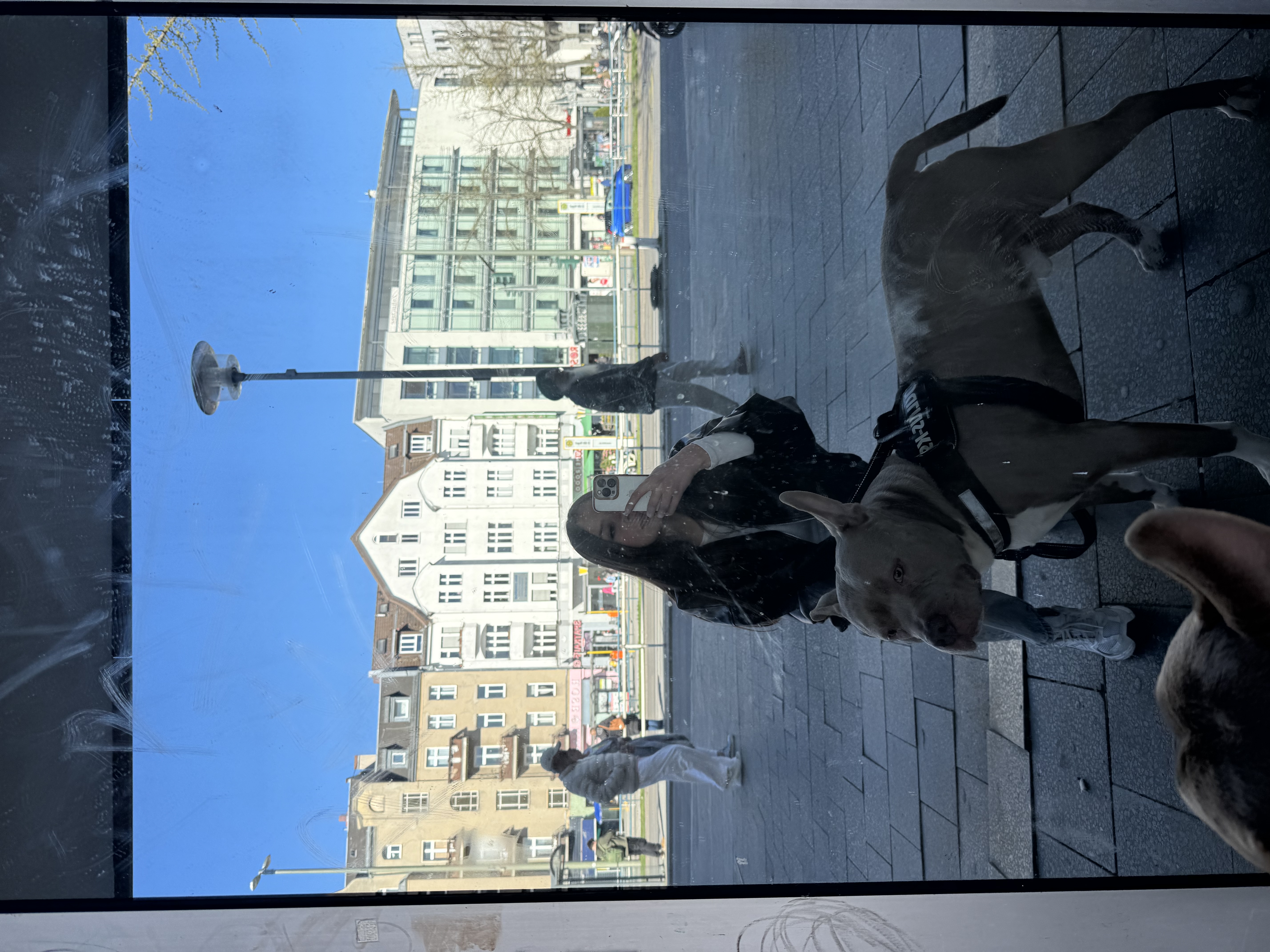 image-15