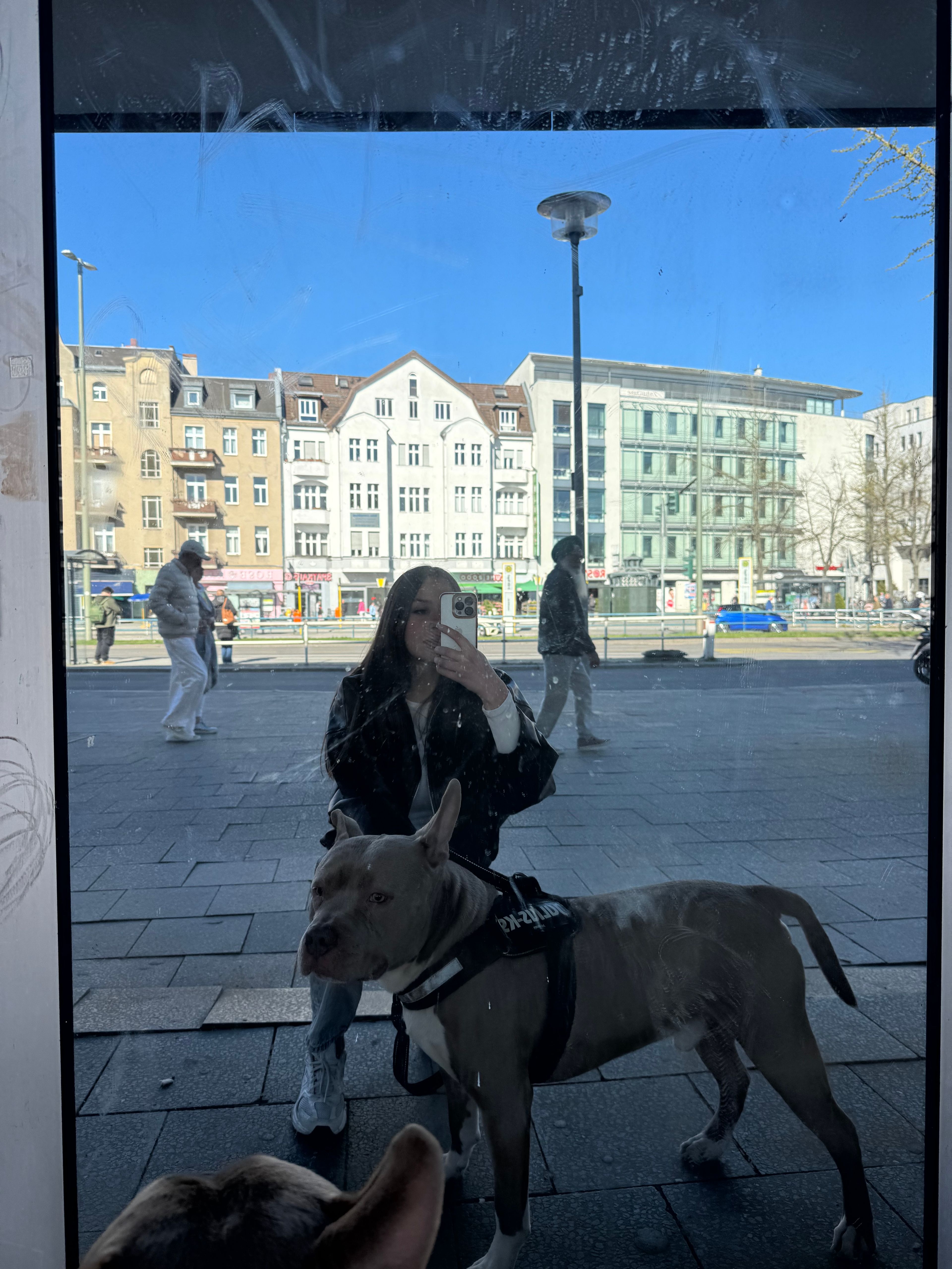 image-15