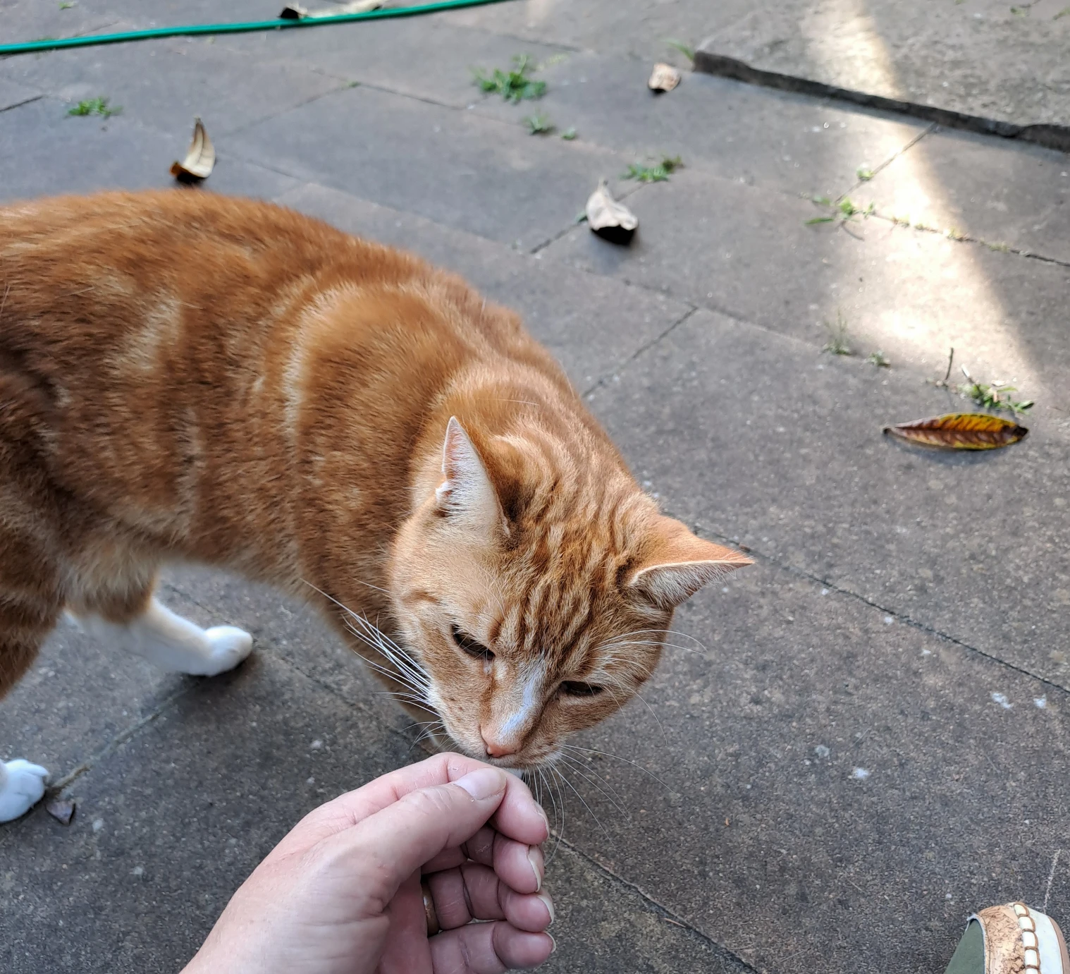 image-11